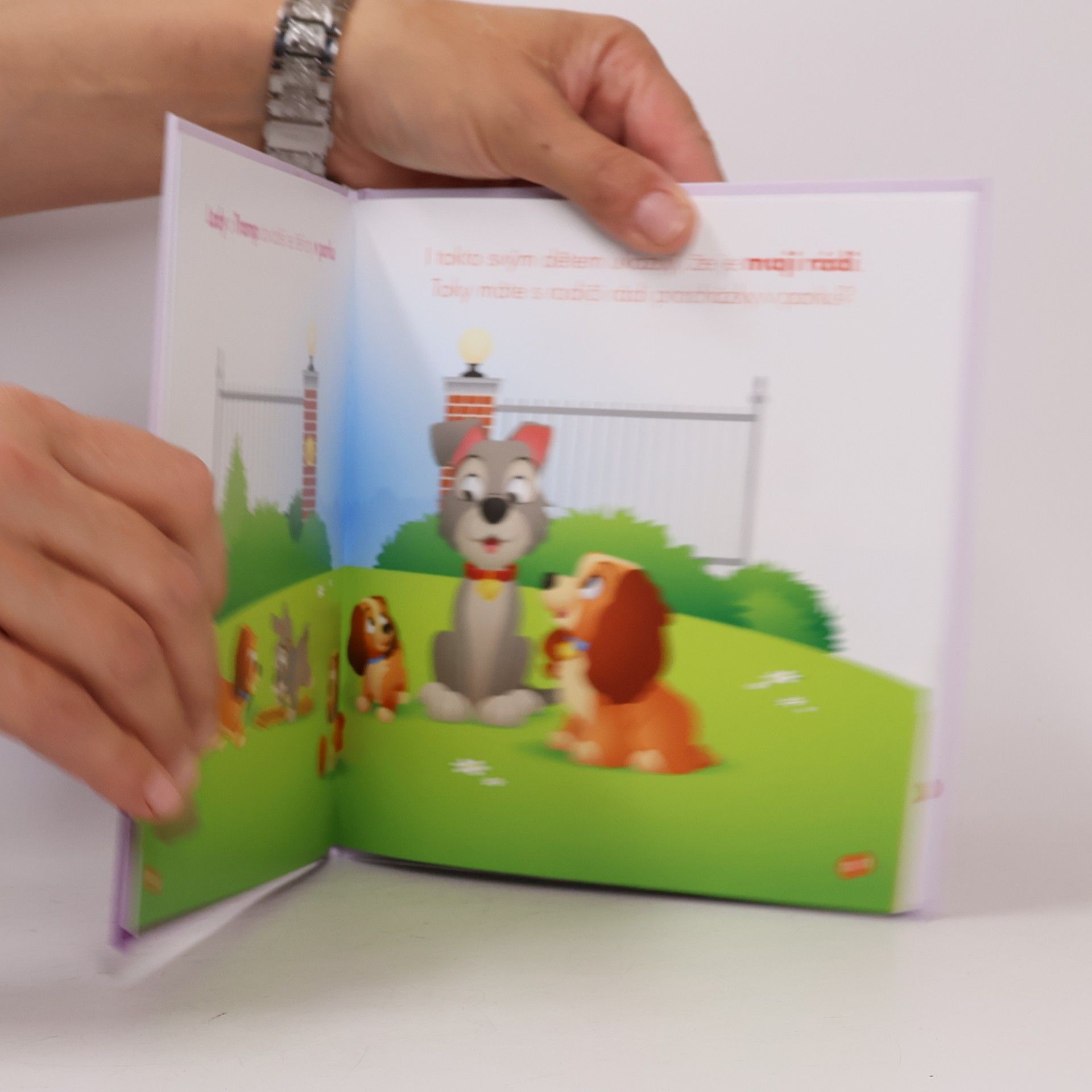 Kolektiv autorů Moji první kamarádi 22: Lady
