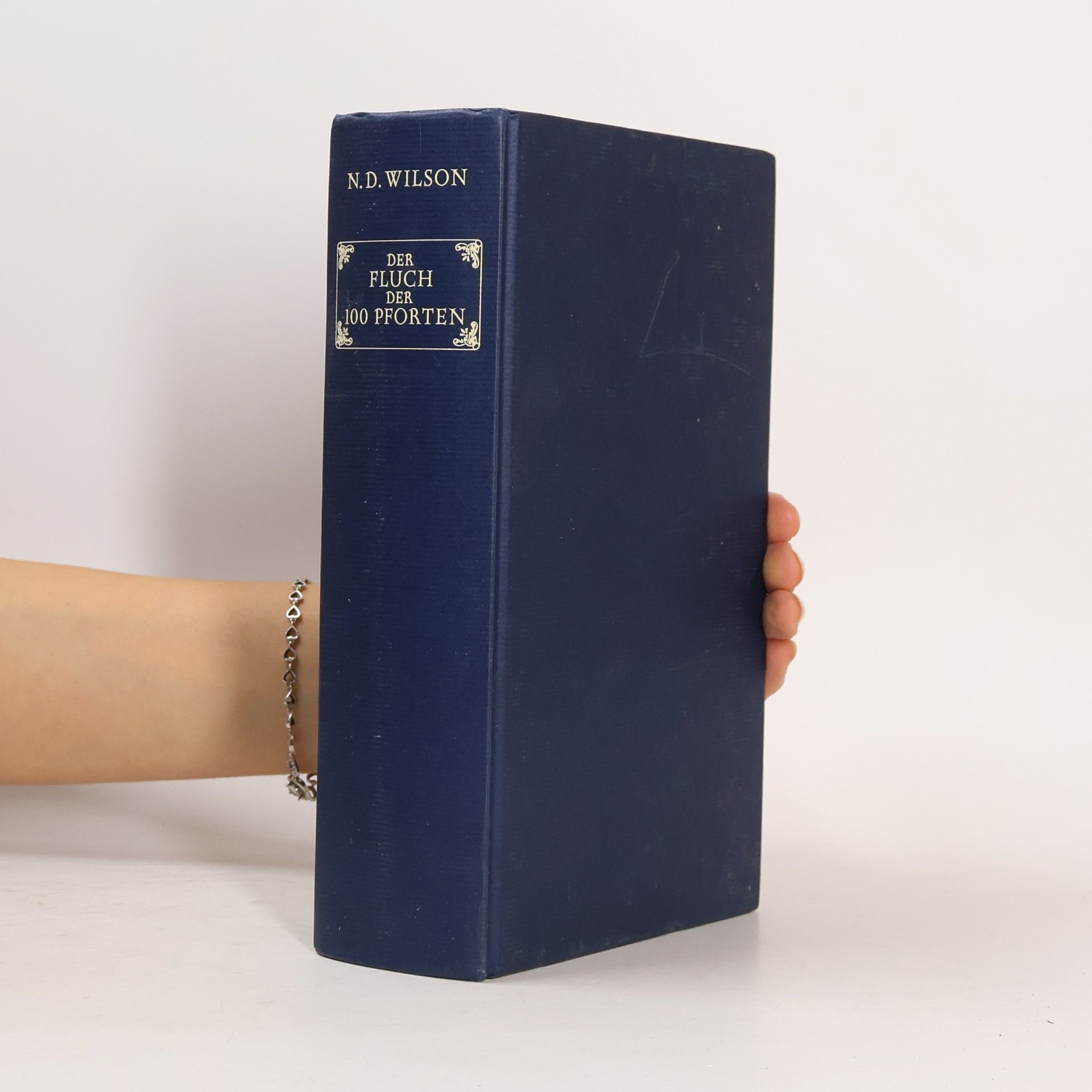 N. D. Wilson Der Fluch der 100 Pforten