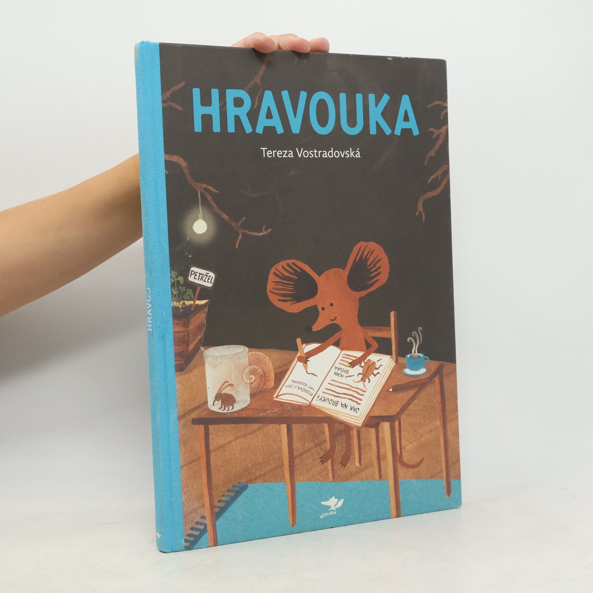 Tereza Vostradovská Hravouka