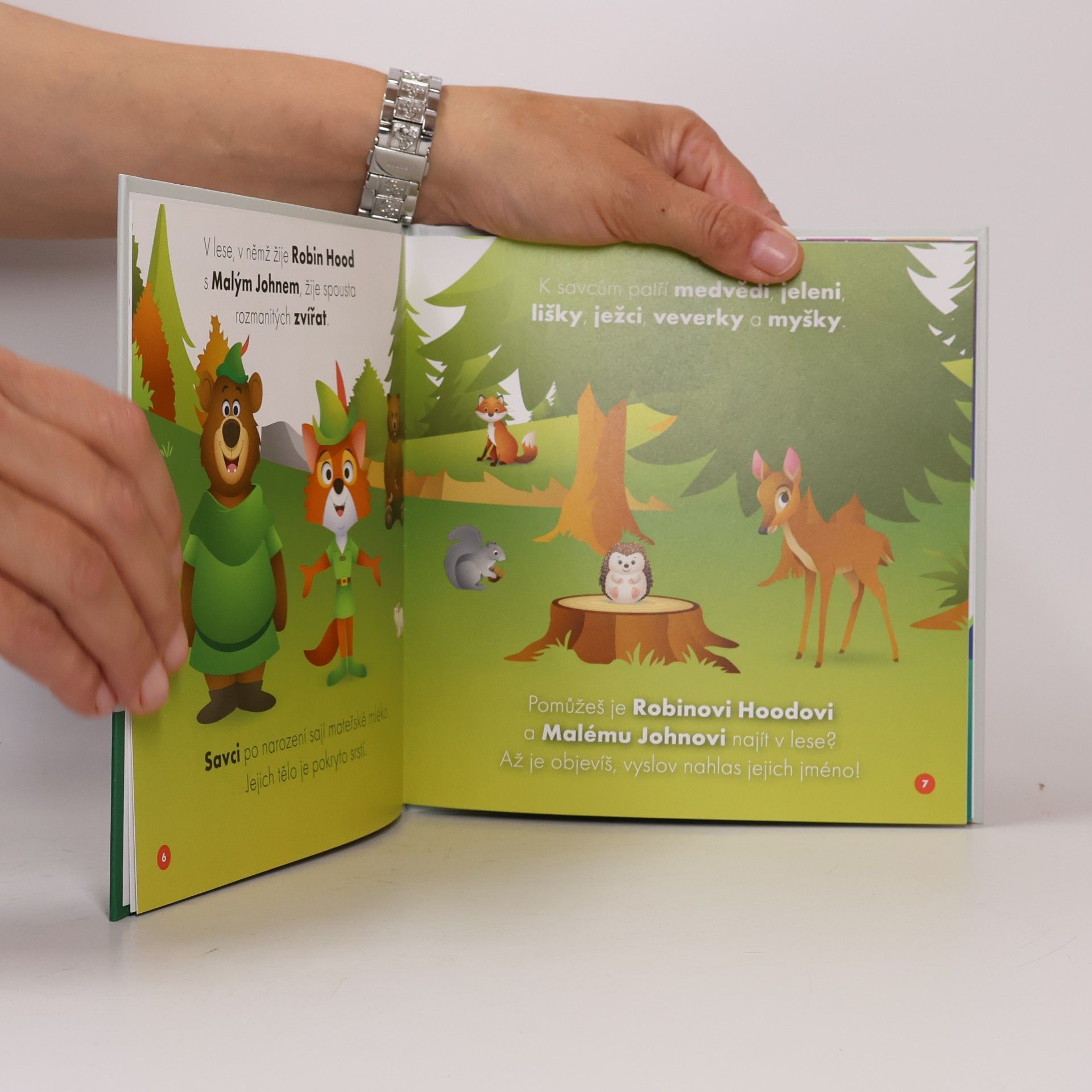 Autorenkollektiv Moji první kamarádi 31: Robin Hood