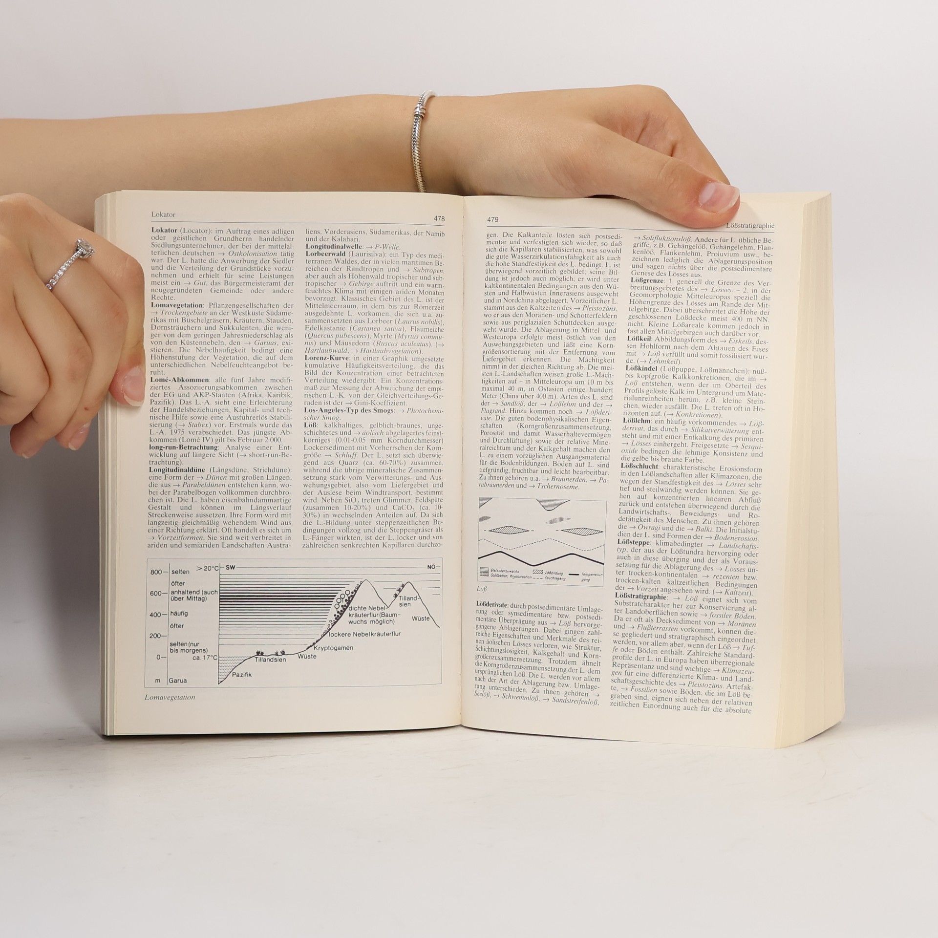 Hartmut Leser Diercke-Wörterbuch allgemeine Geographie