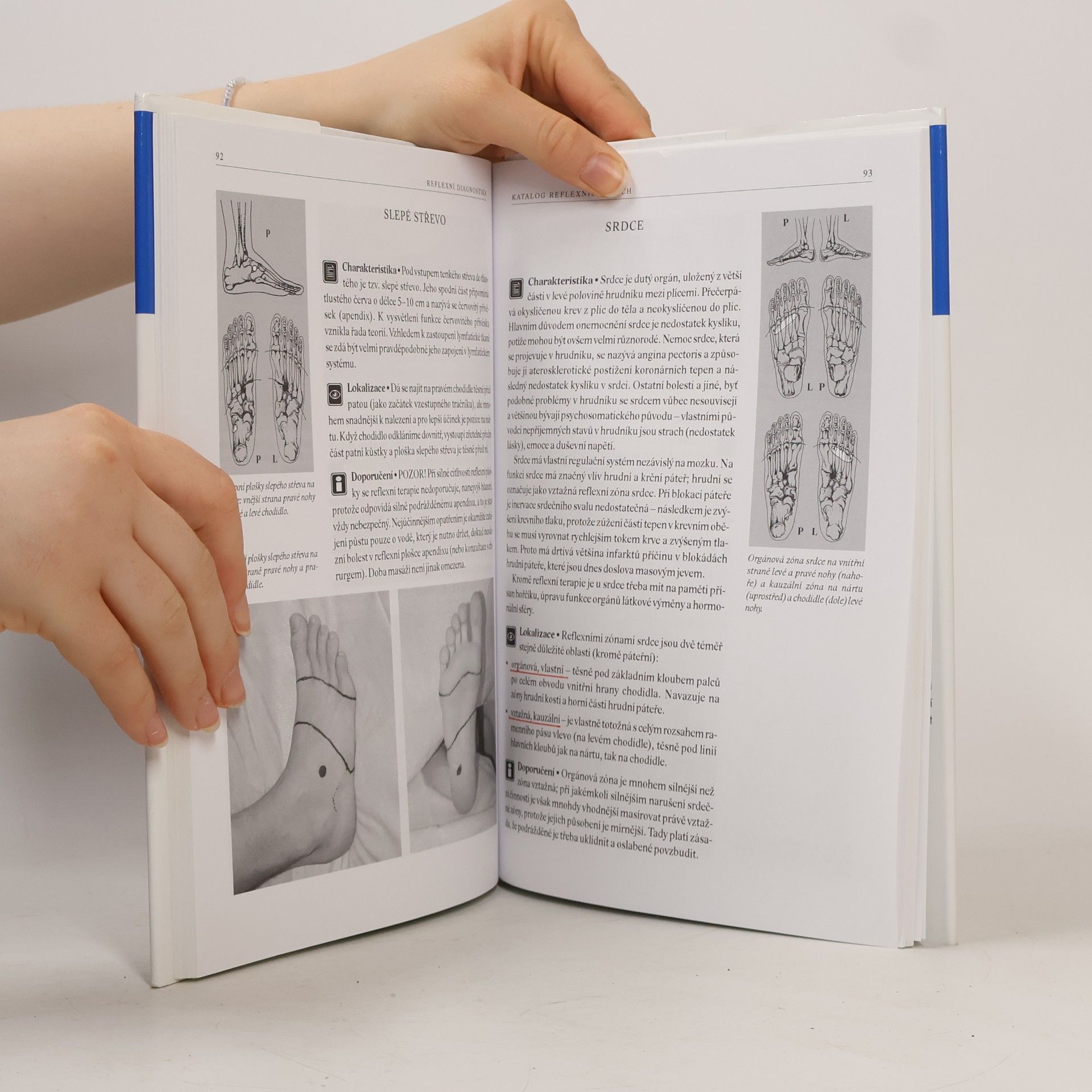 Beáta Patakyová Reflexní diagnostika a katalog reflexních ploch