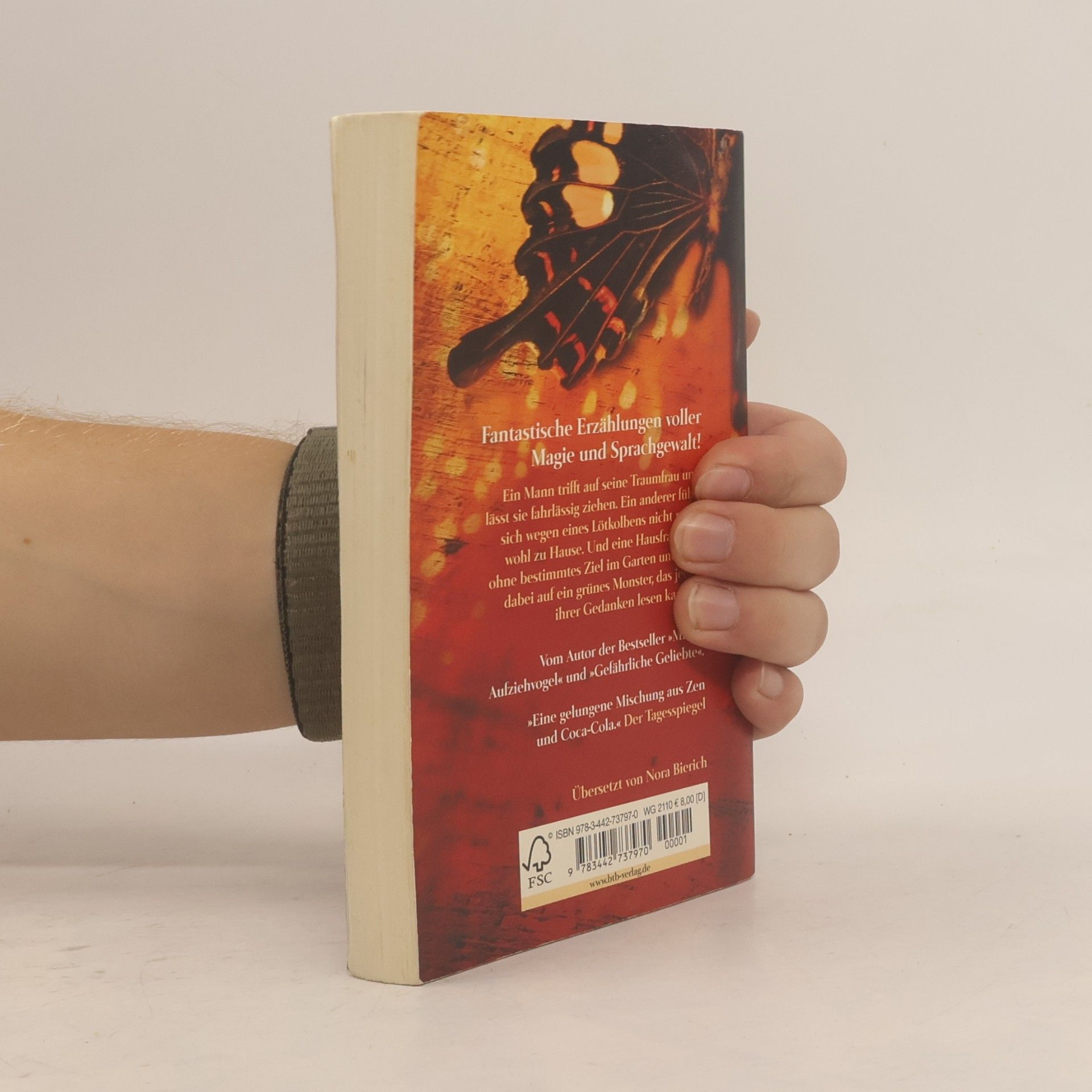Haruki Murakami Wie ich eines schönen Morgens im April das 100%ige Mädchen sah