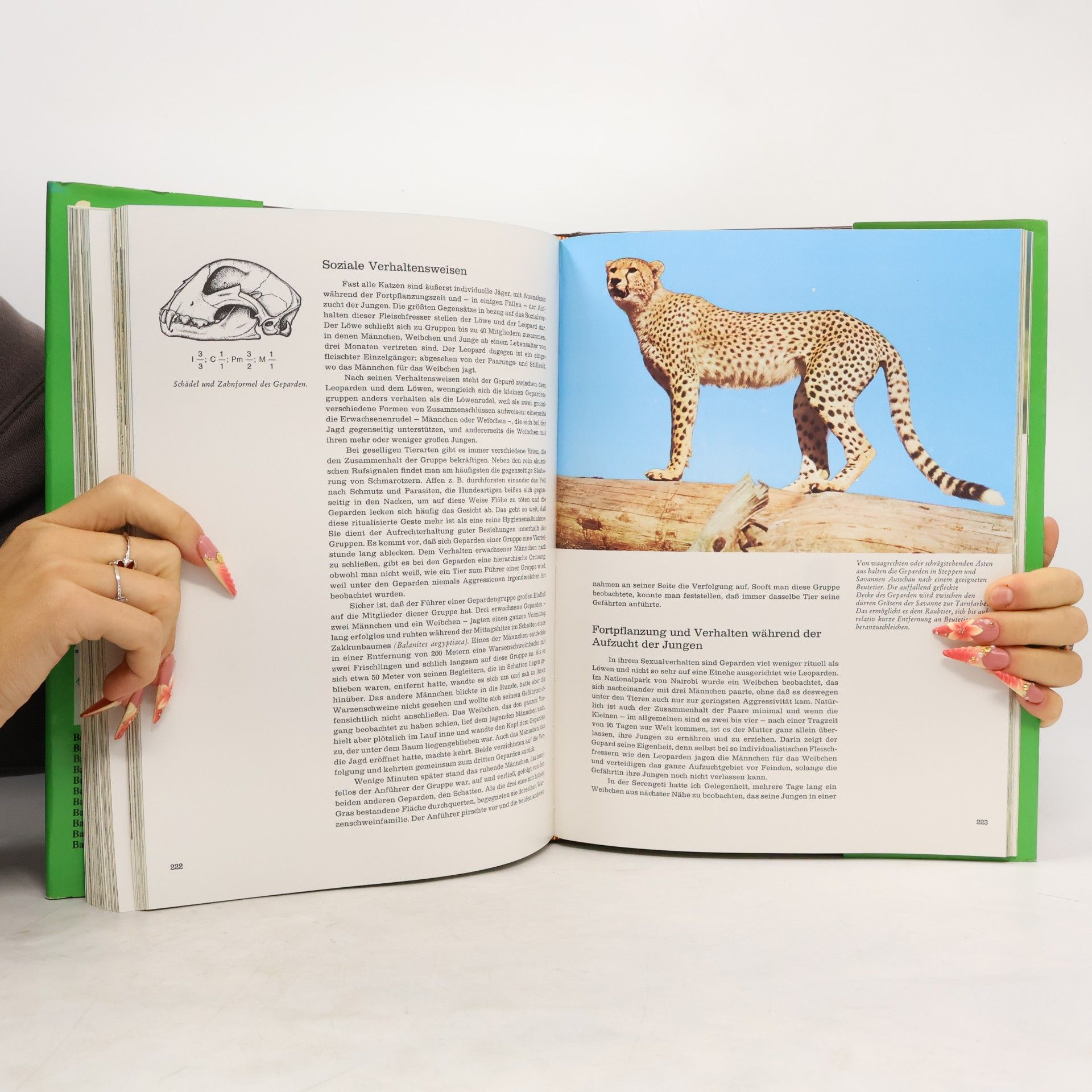 Various authors Fauna 1. Afrika