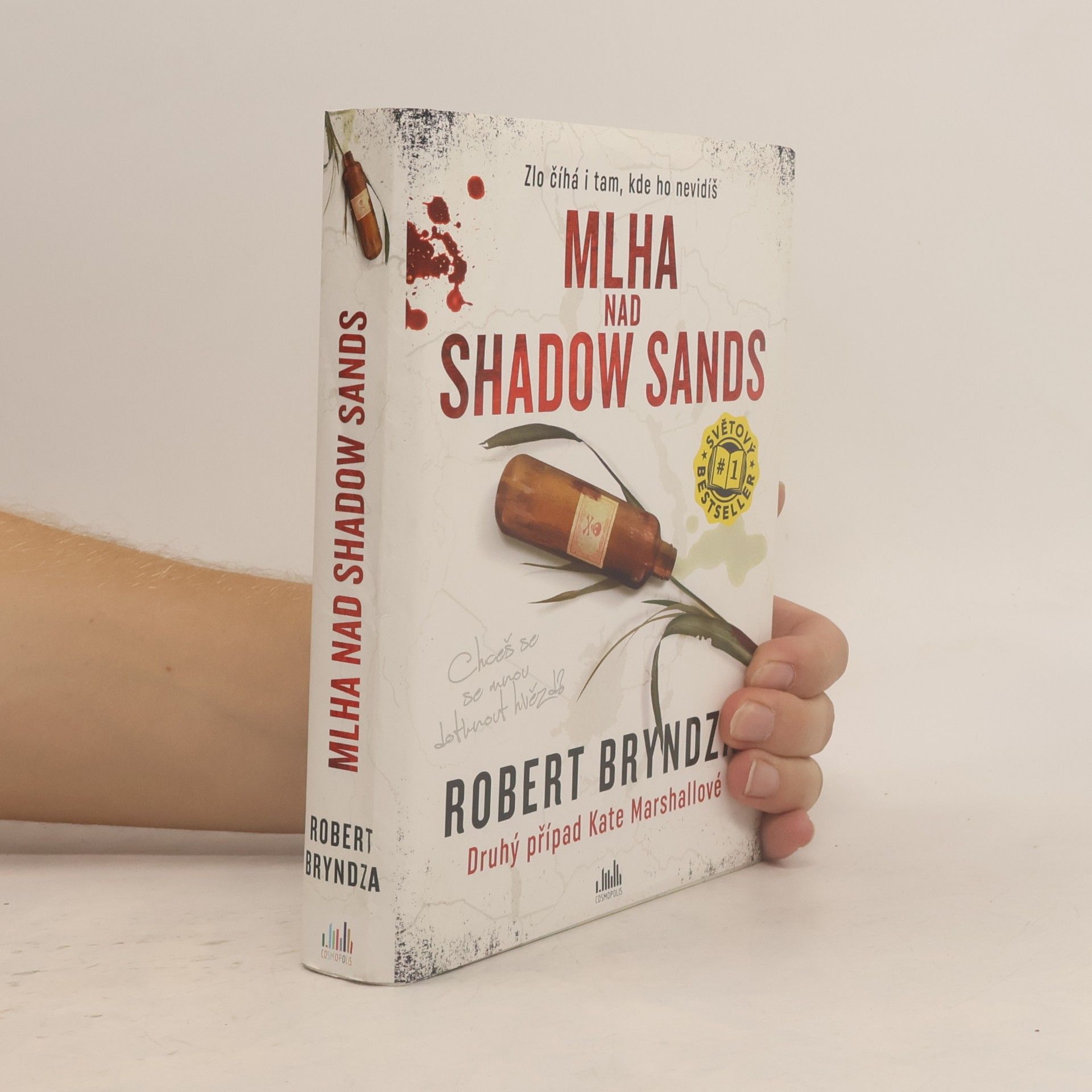 Robert Bryndza Mlha nad Shadow Sands