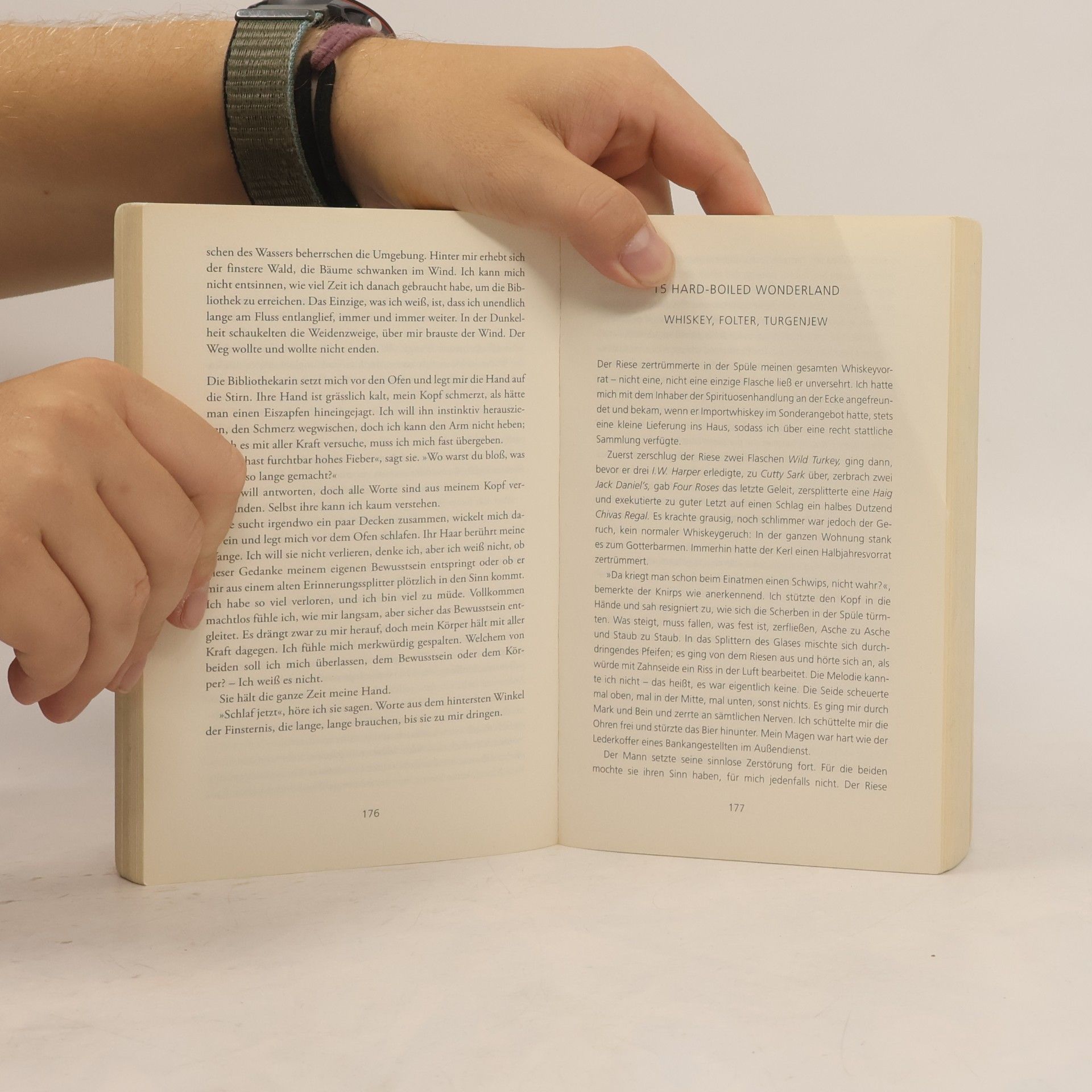 Haruki Murakami Hard-boiled Wonderland und das Ende der Welt
