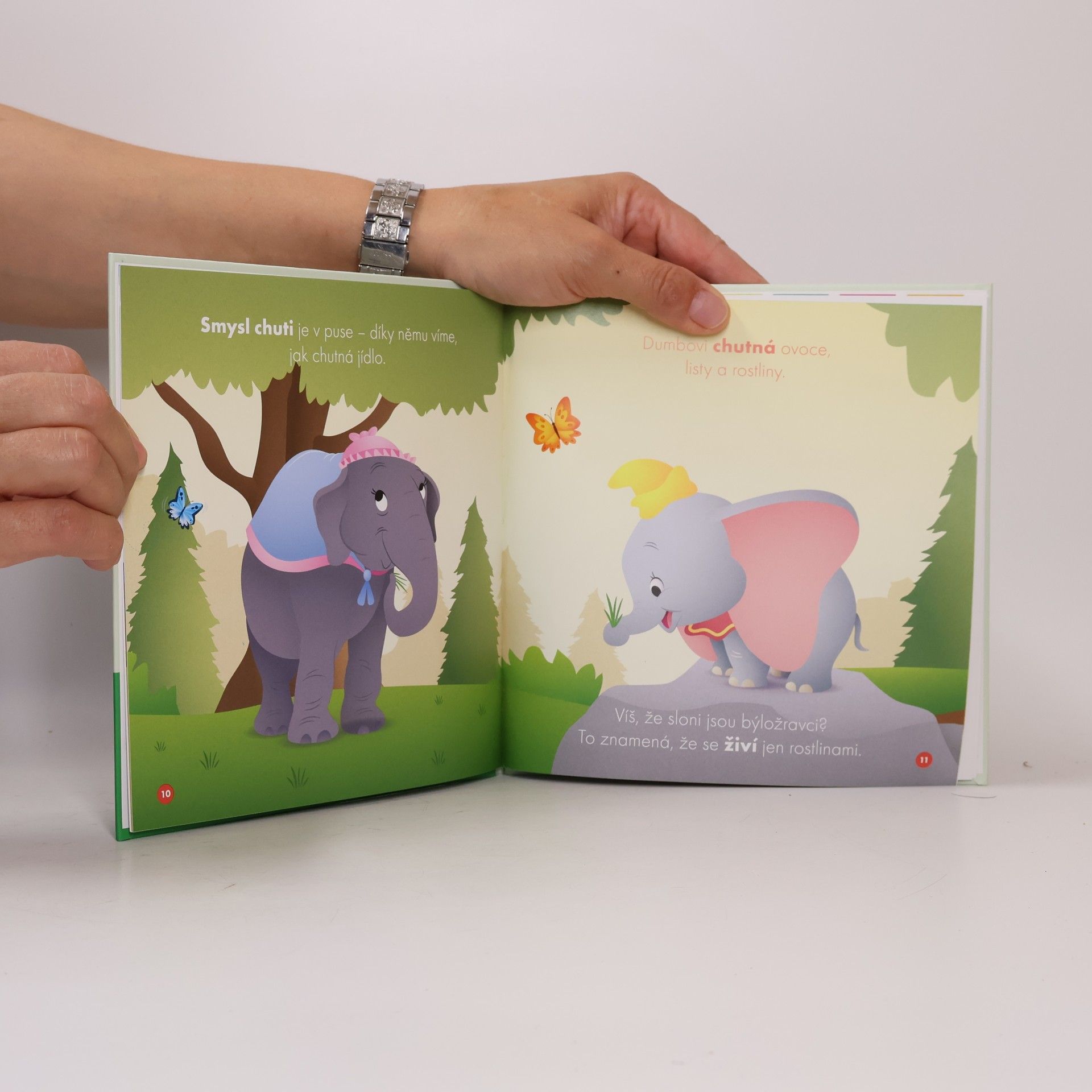 Walt Disney Moji první kamarádi 3: Dumbo