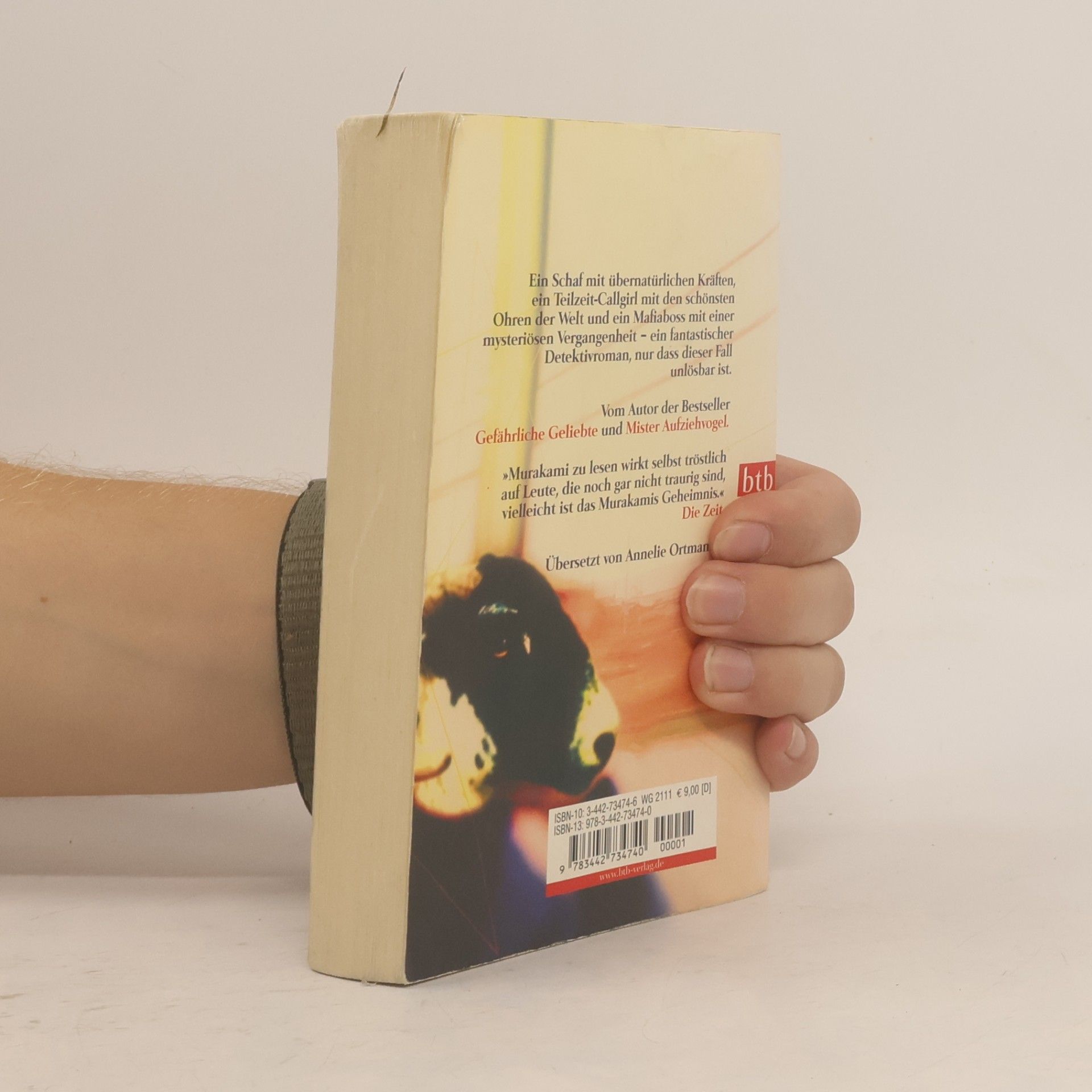 Haruki Murakami Wilde Schafsjagd