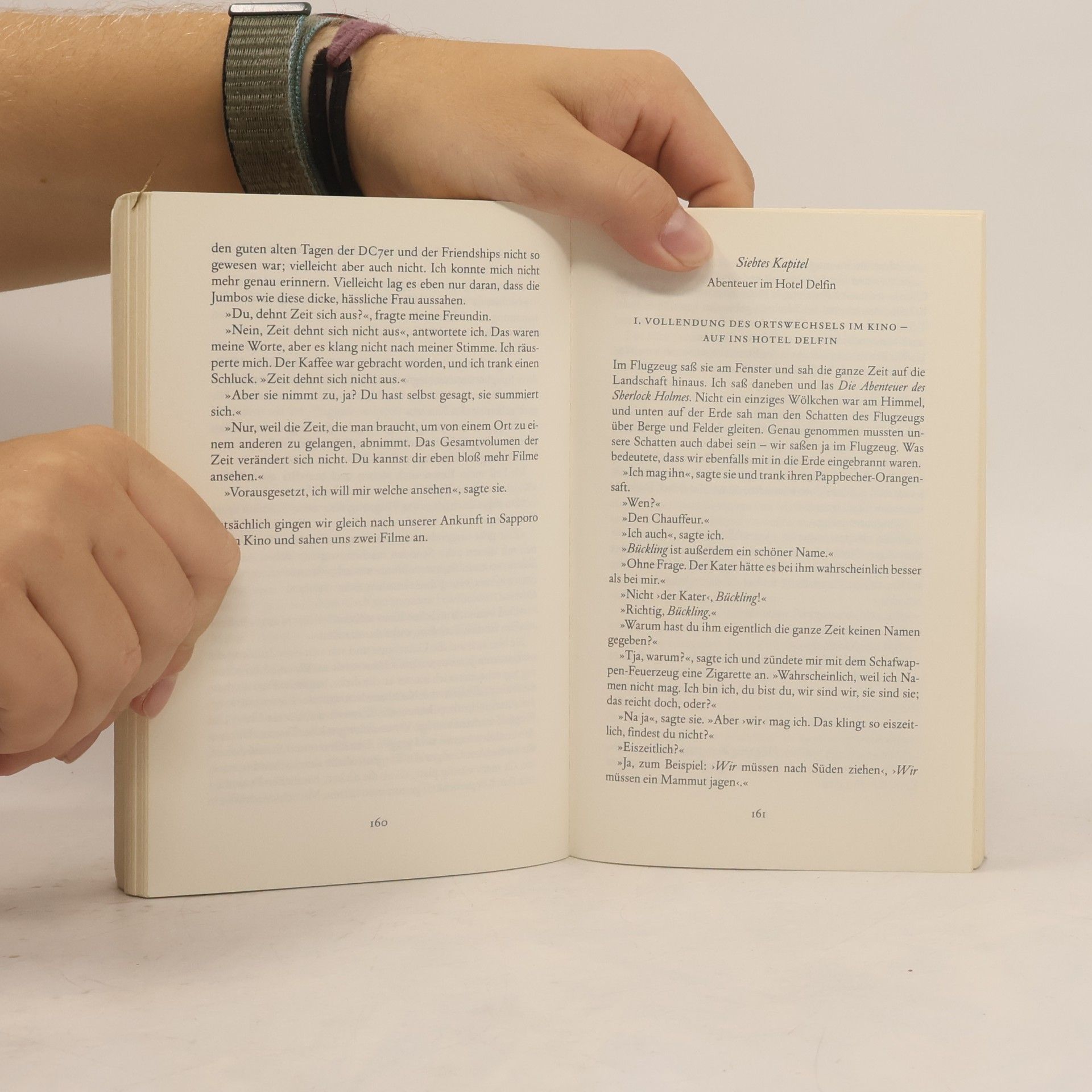 Haruki Murakami Wilde Schafsjagd