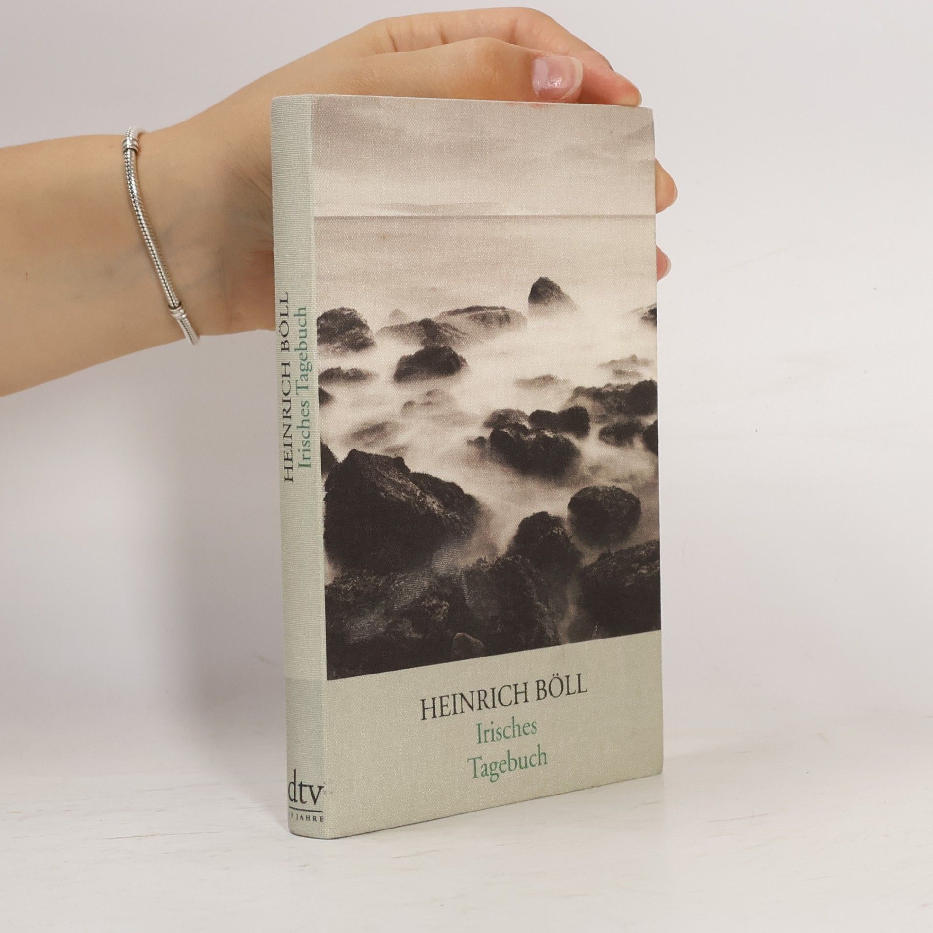Heinrich Böll Irisches Tagebuch