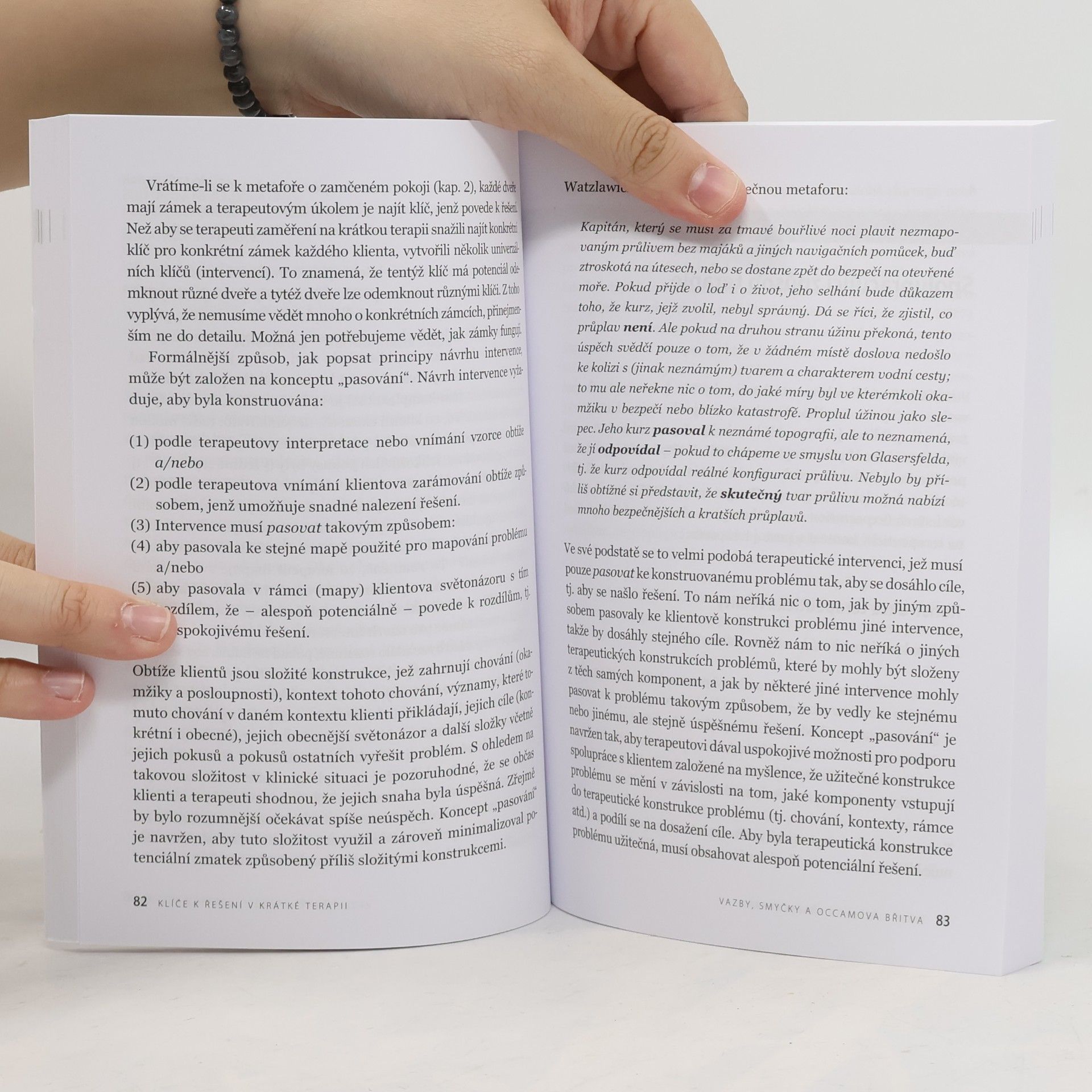 Steve De Shazer Klíče k řešení v krátké terapii