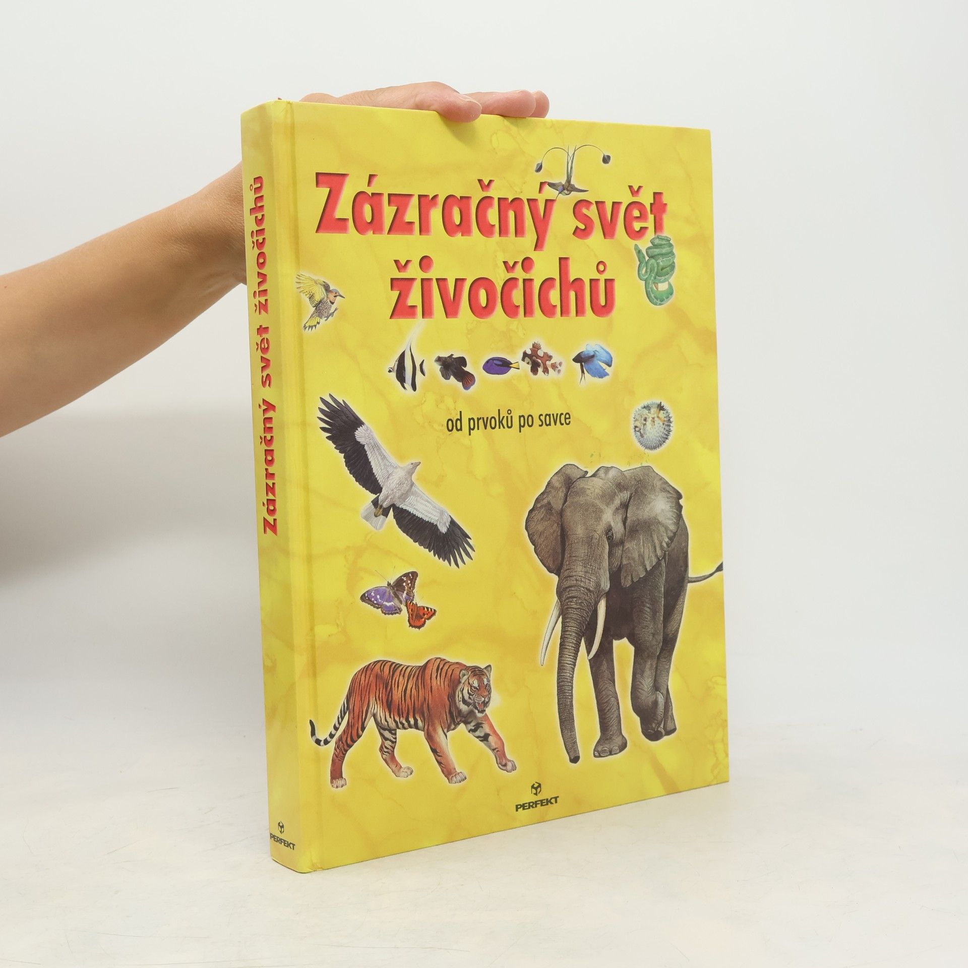 Kolektiv autorů Zázračný svět živočichů