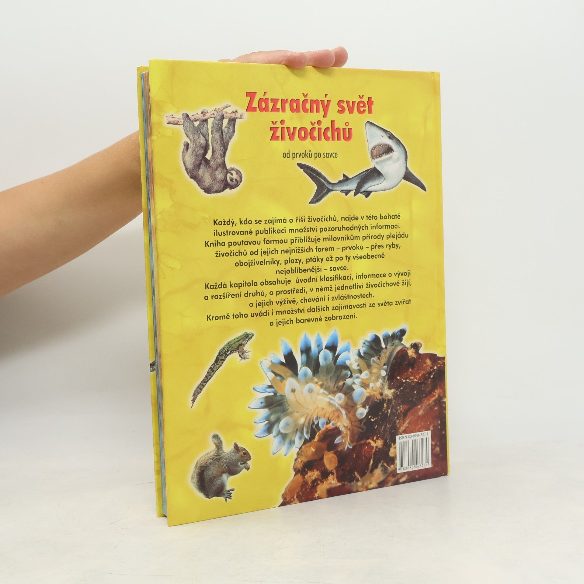 Autorenkollektiv Zázračný svět živočichů