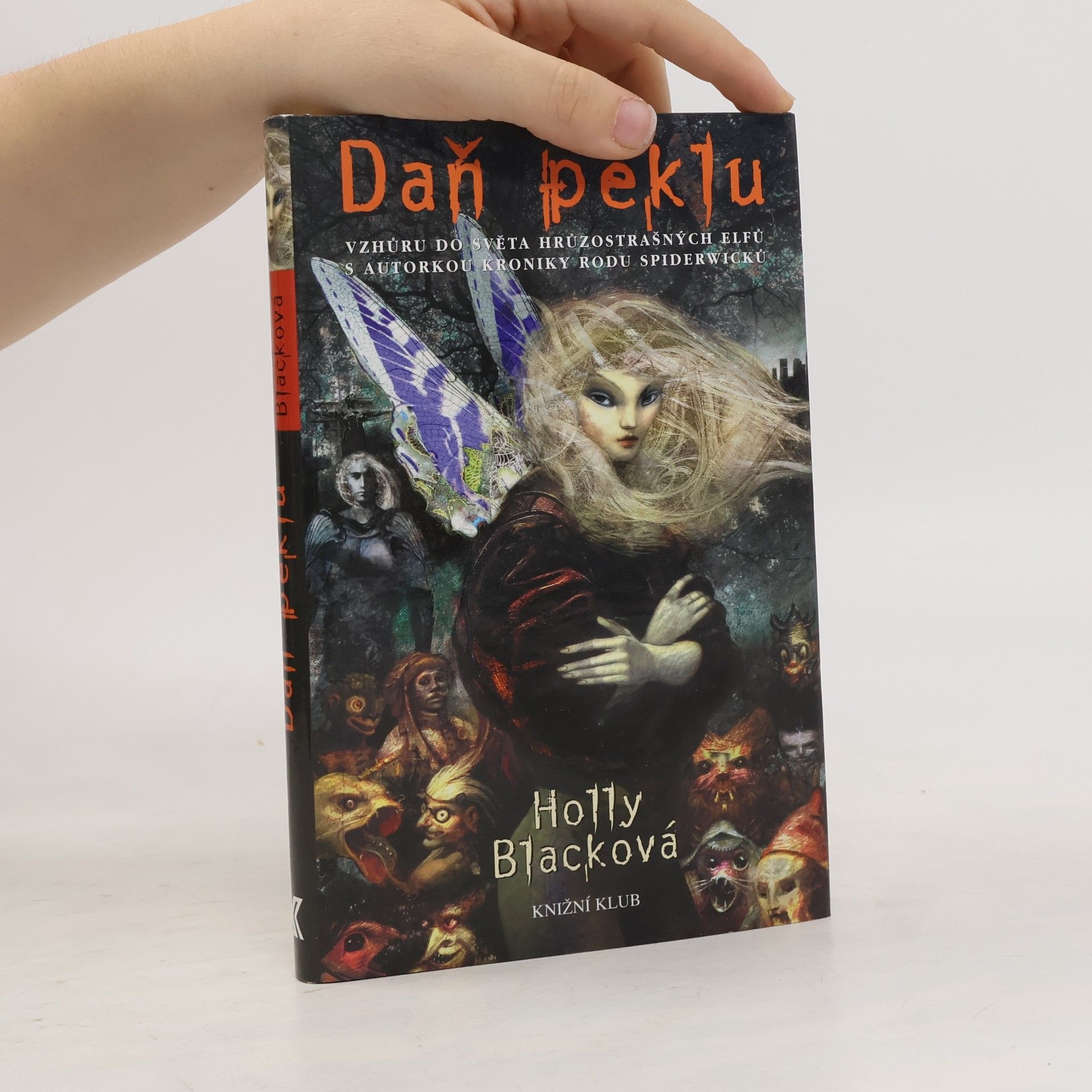 Holly Black Daň peklu
