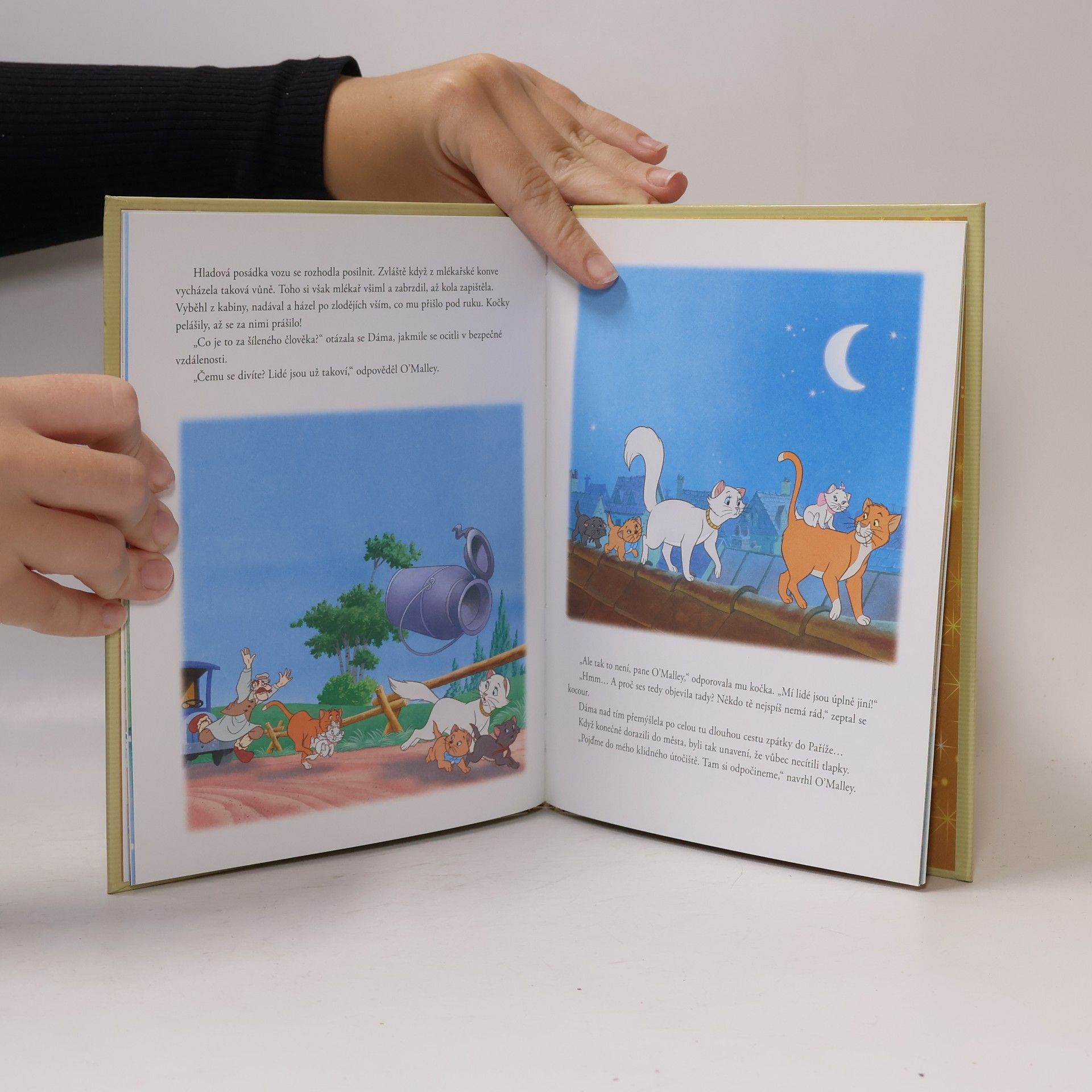 Collectif d'auteurs Zlatá sbírka pohádek 100. Aristokočky