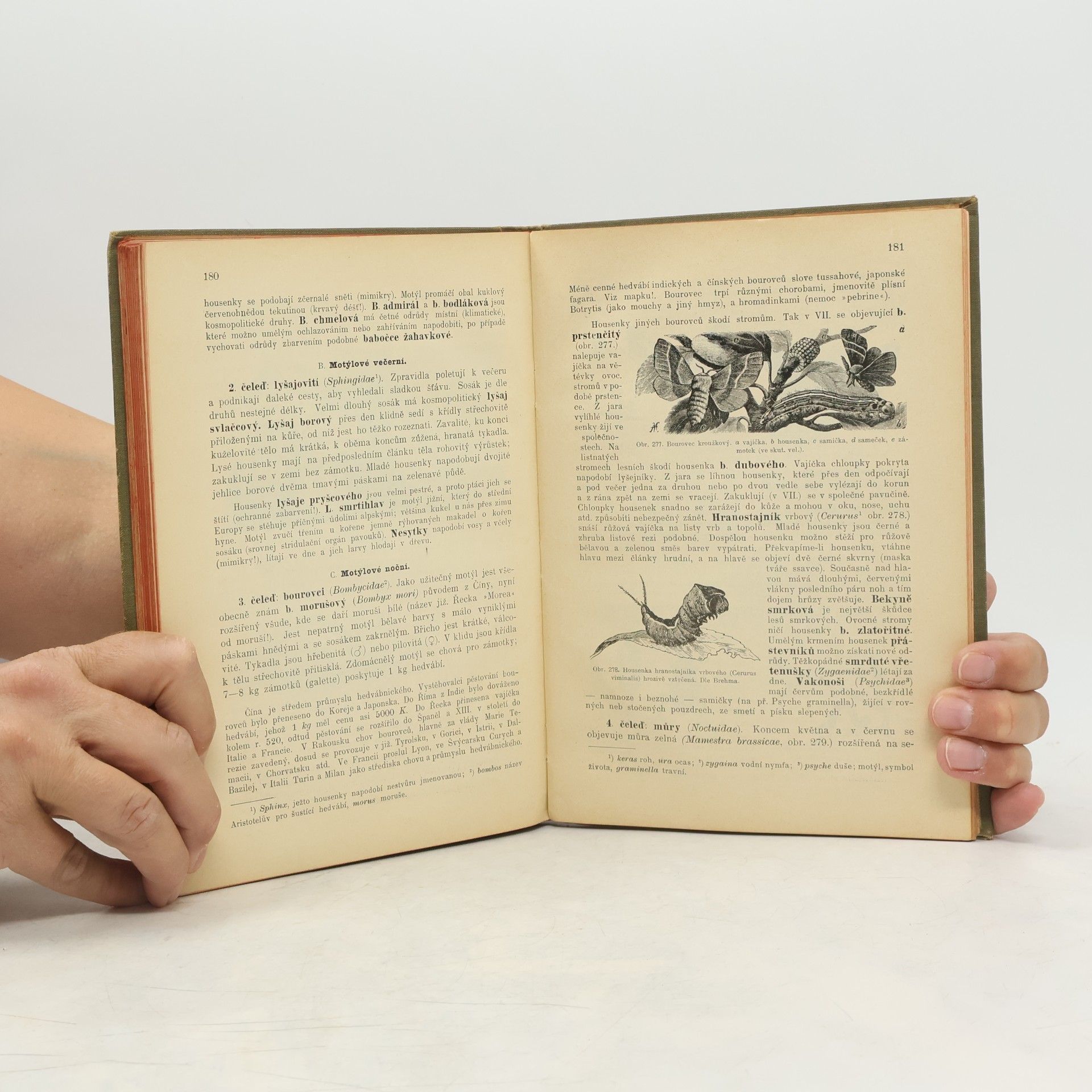 Antonín Nosek Zoologie pro vyšší třídy středních škol