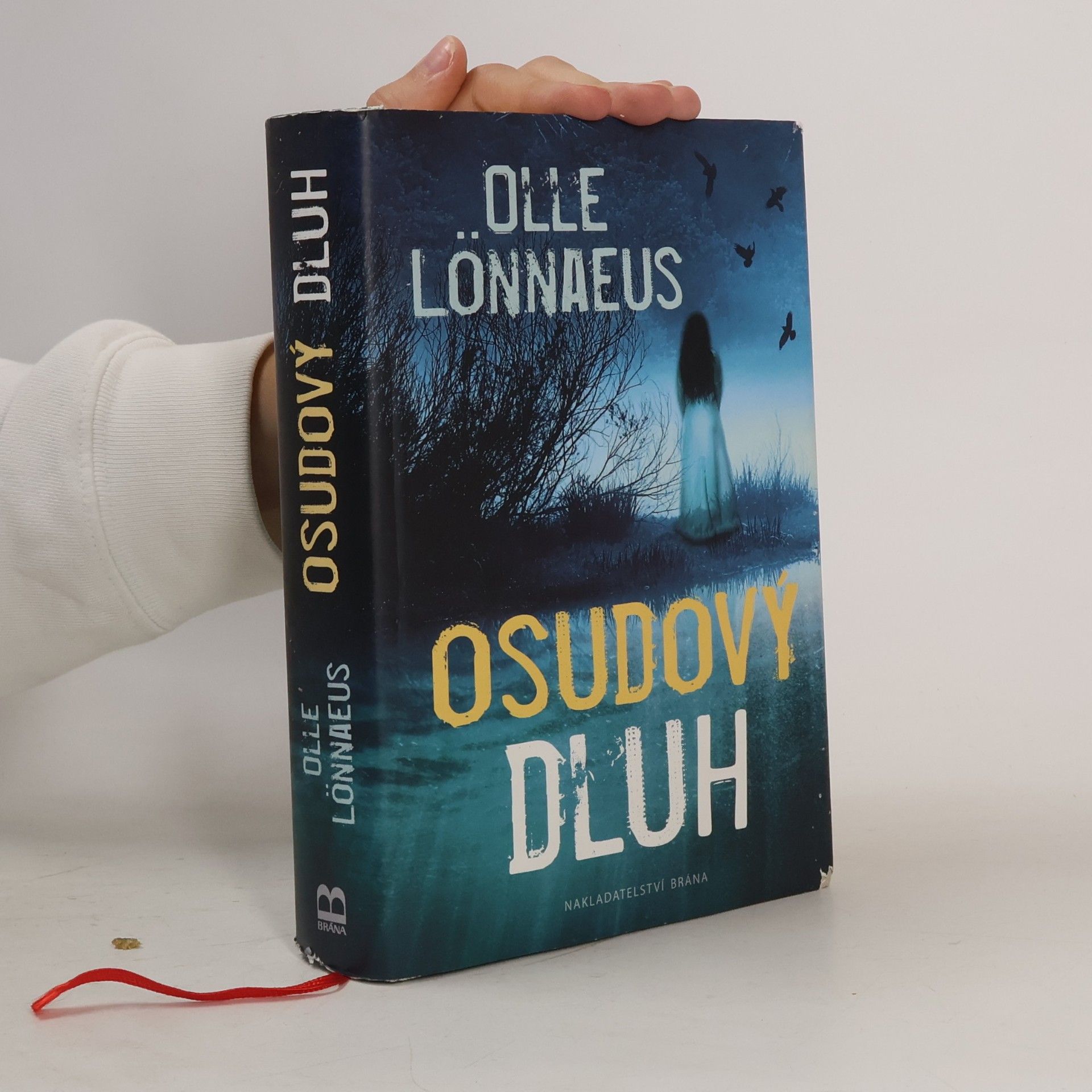 Olle Lönnaeus Osudový dluh