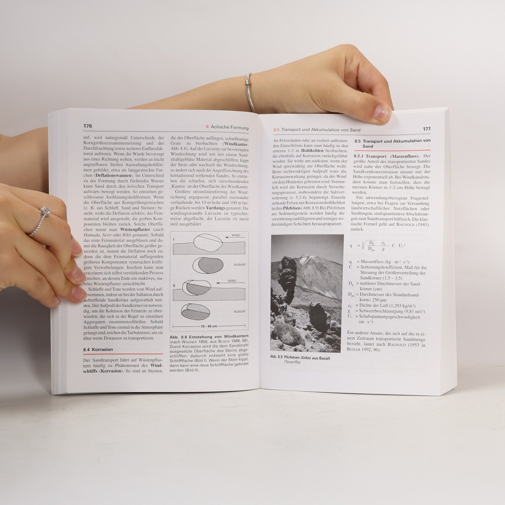 Harald Zepp Geomorphologie - 6. Auflage