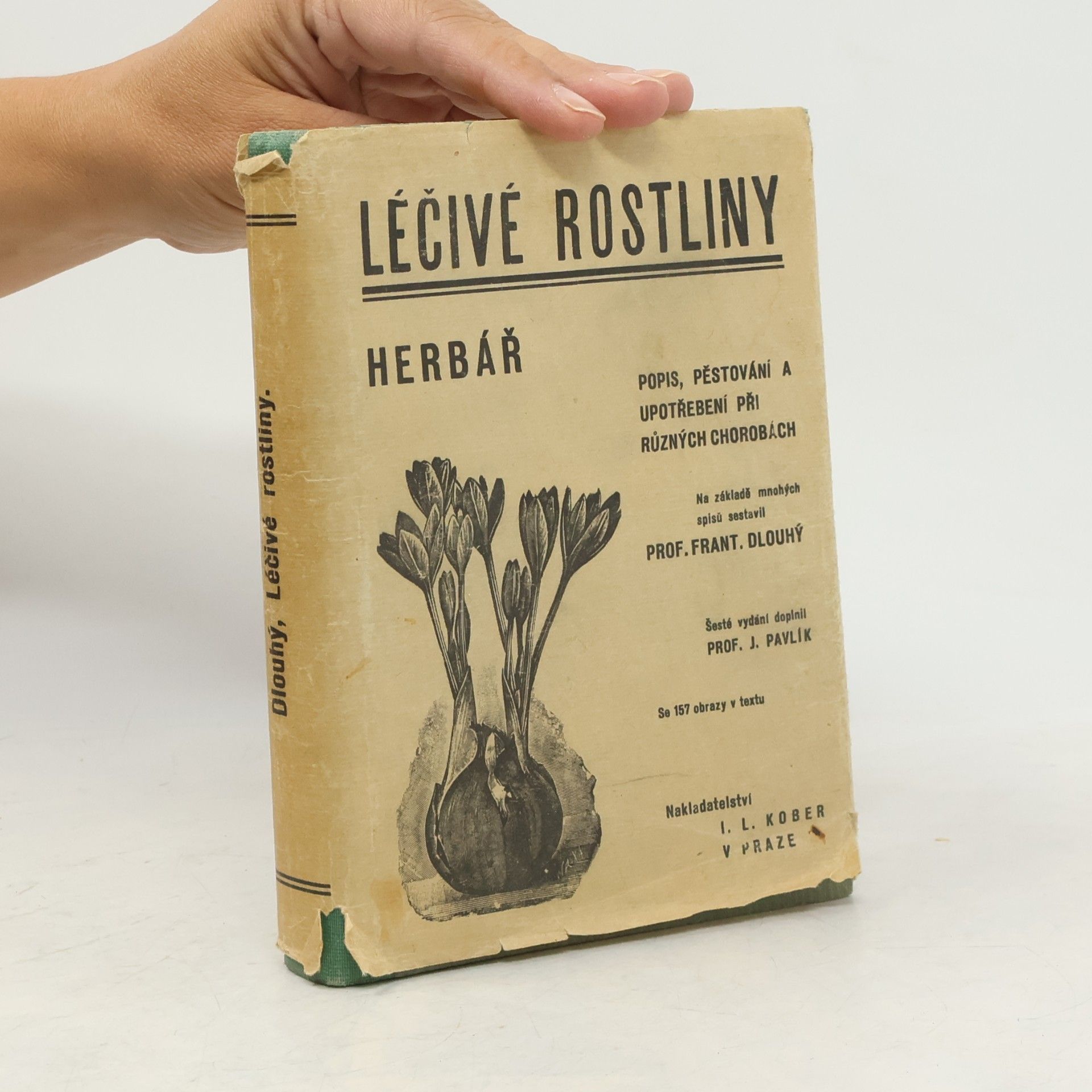 František Dlouhý Léčivé rostliny (herbář)