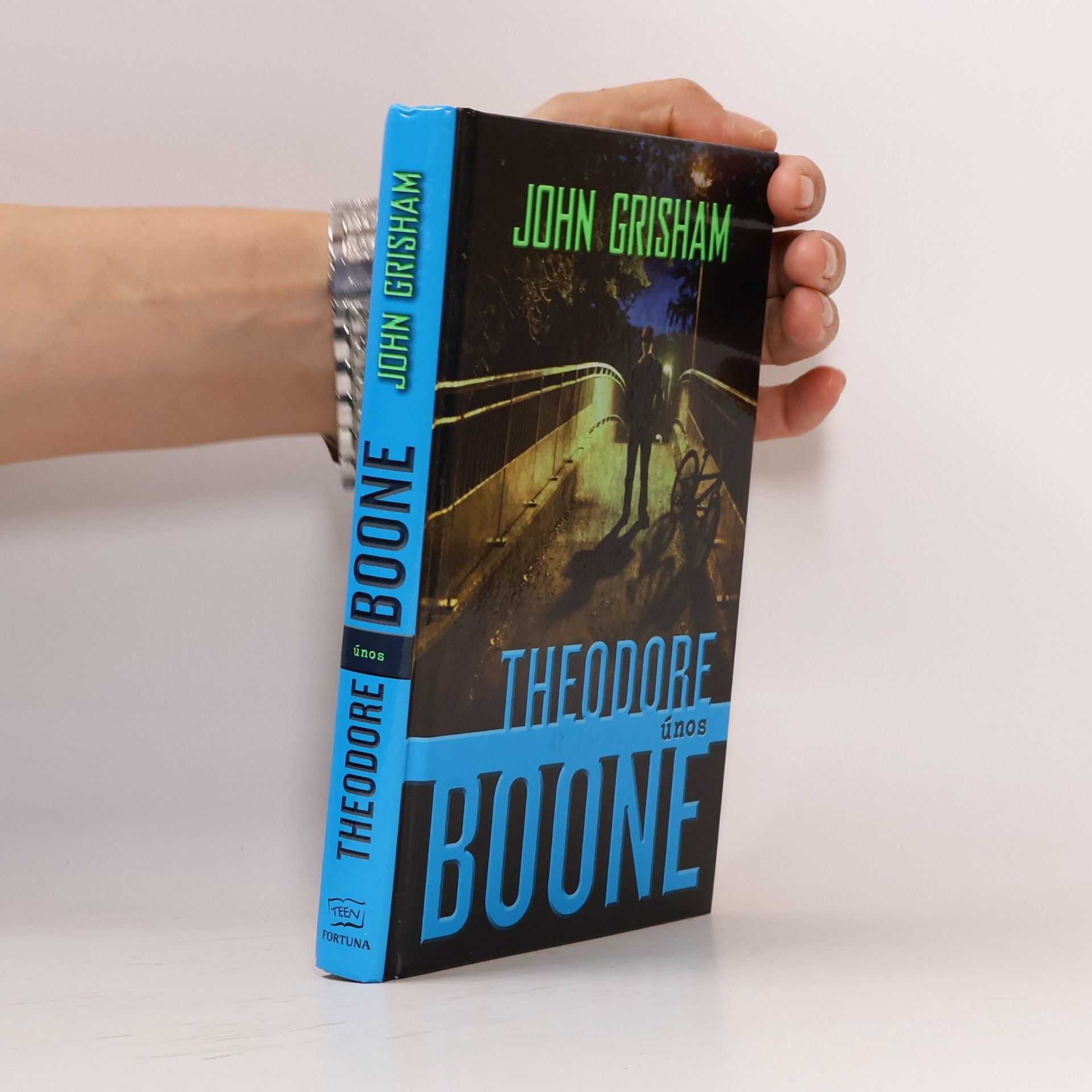 John Grisham Theodore Boone. Únos