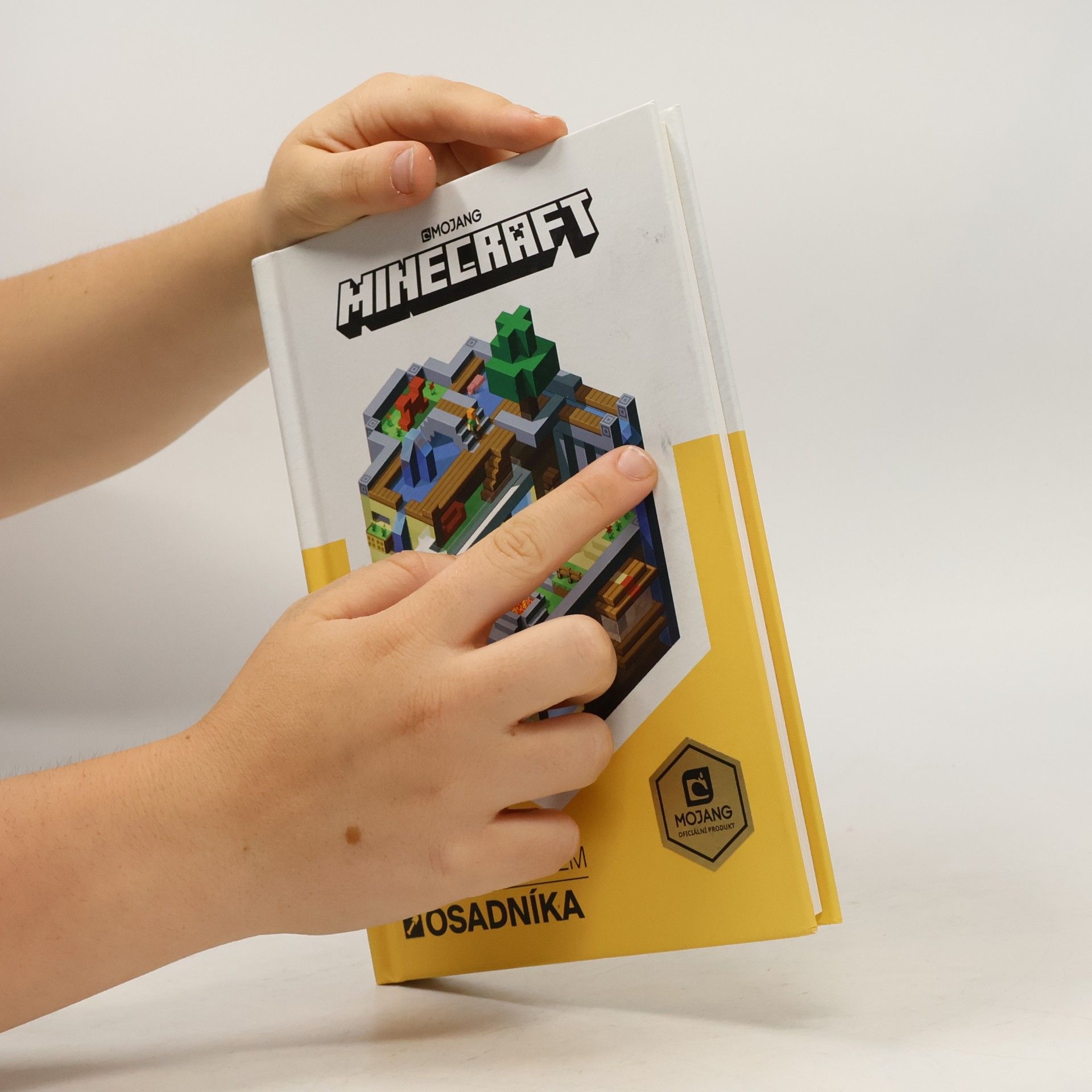Craig Jelley Minecraft: Průvodce světem osadníka