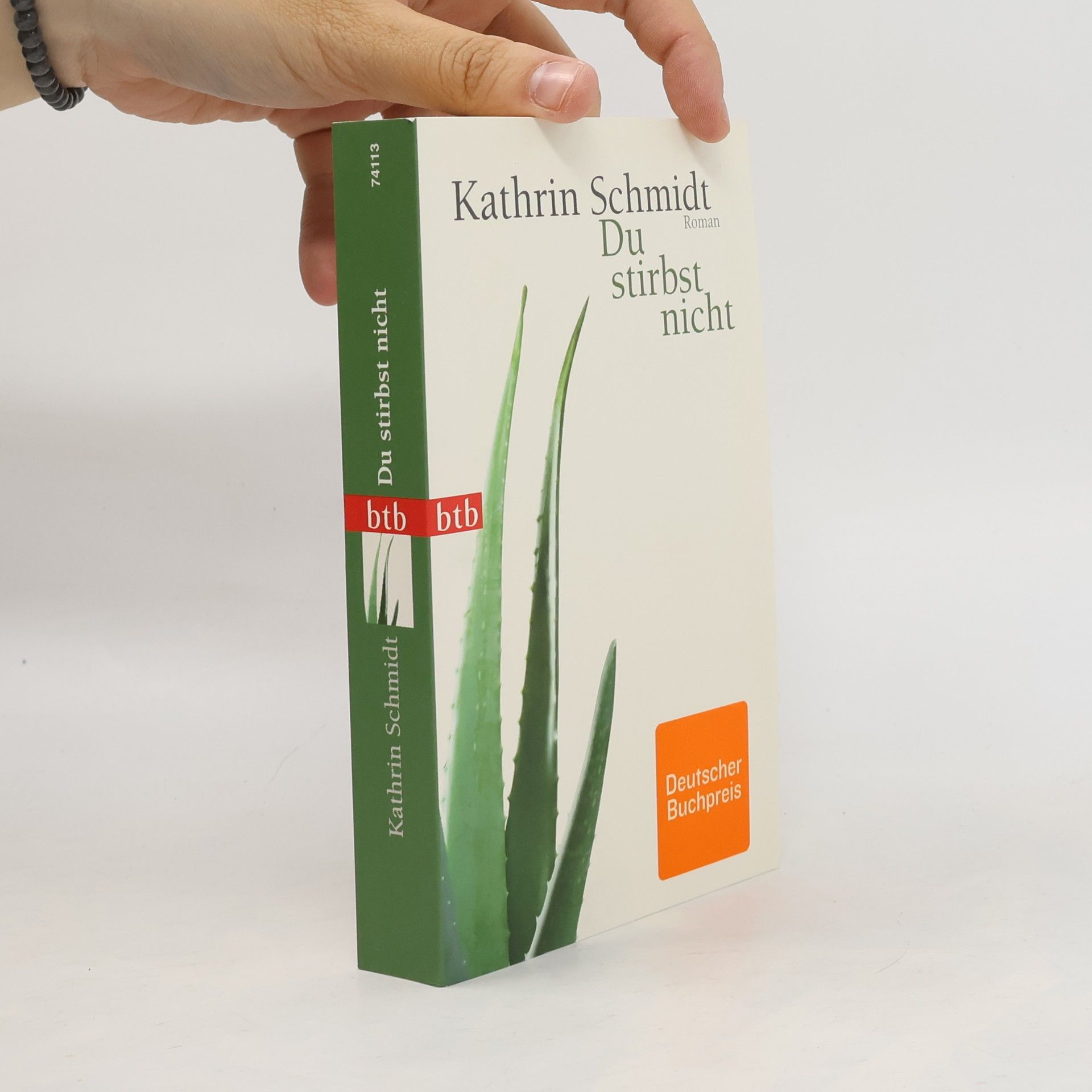 Kathrin Schmidt Du stirbst nicht