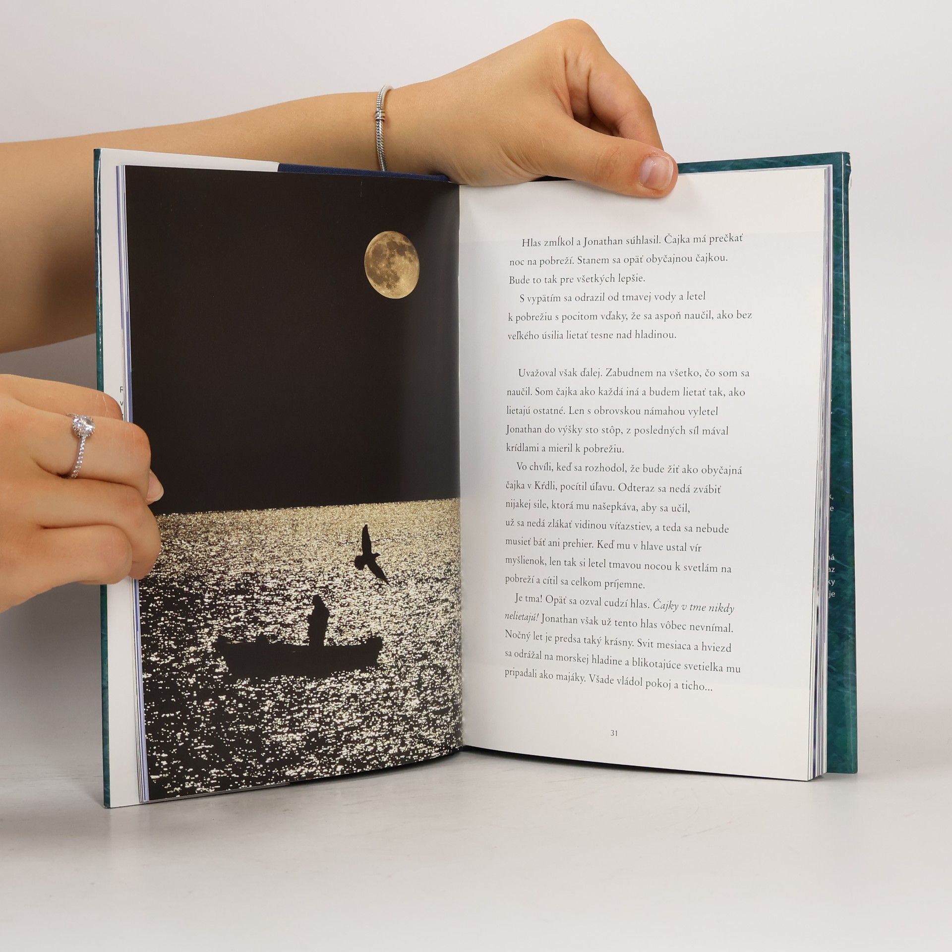 Richard Bach Čajka Jonathan Livingston