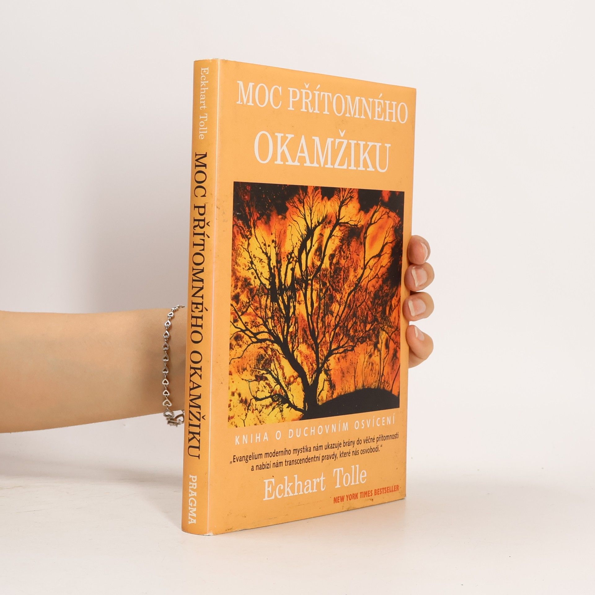 Eckhart Tolle Moc přítomného okamžiku
