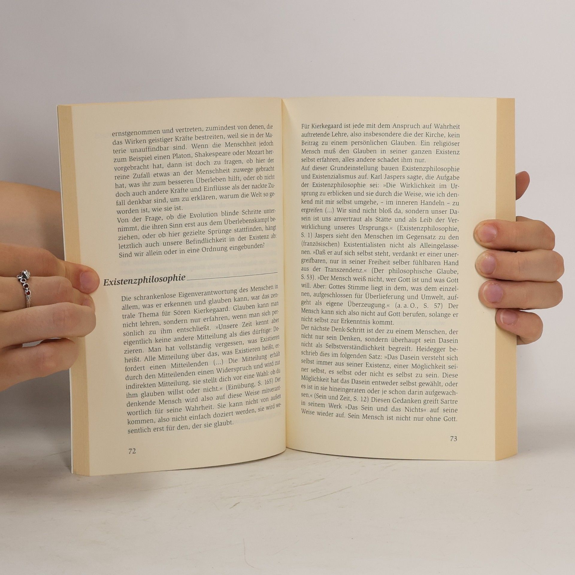 Frieder Lauxmann Das philosophische ABC