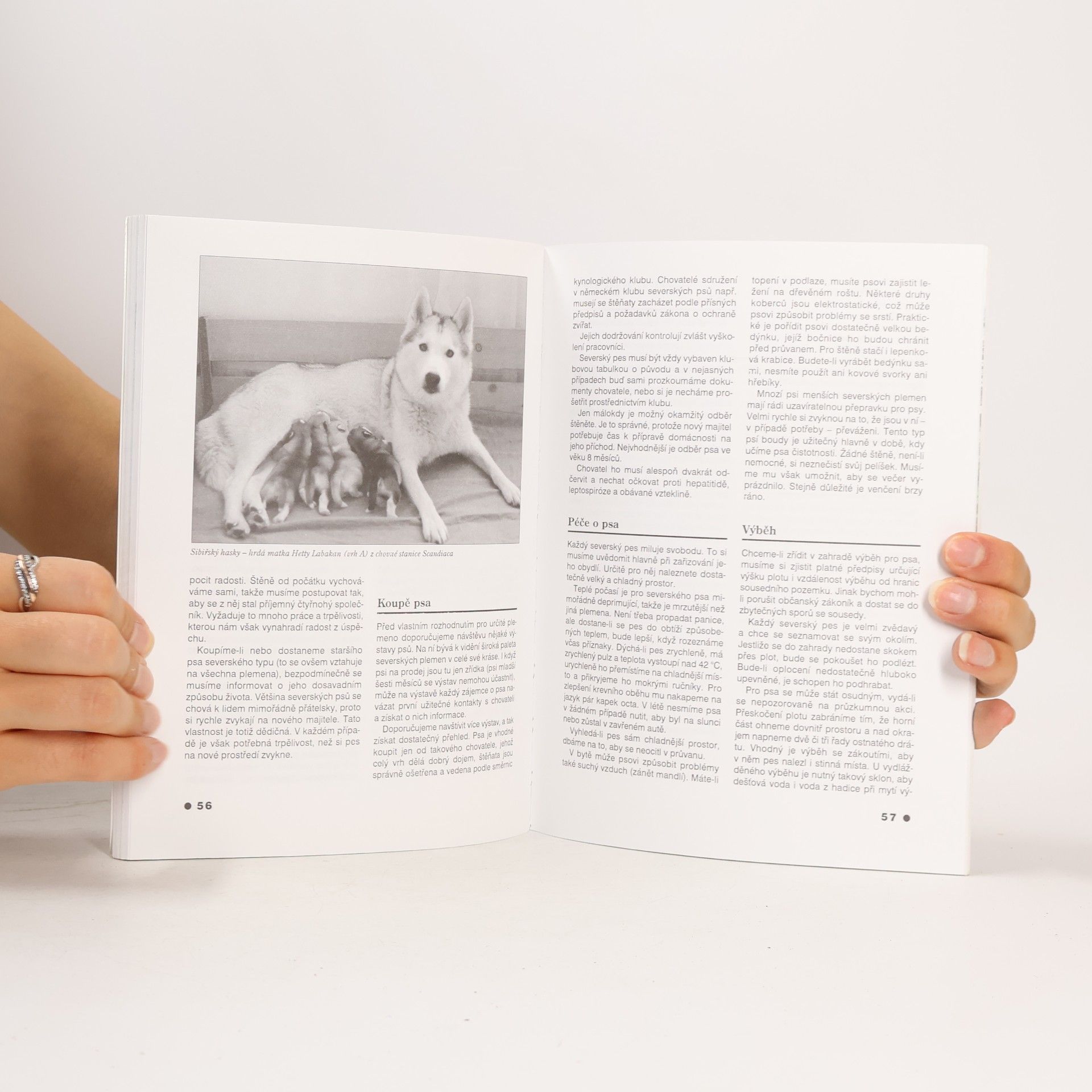 Annemarie Kolbe Severská plemena psů : Aljašský malamut, Sibiřský hasky, Samojed, Grónský pes aj.