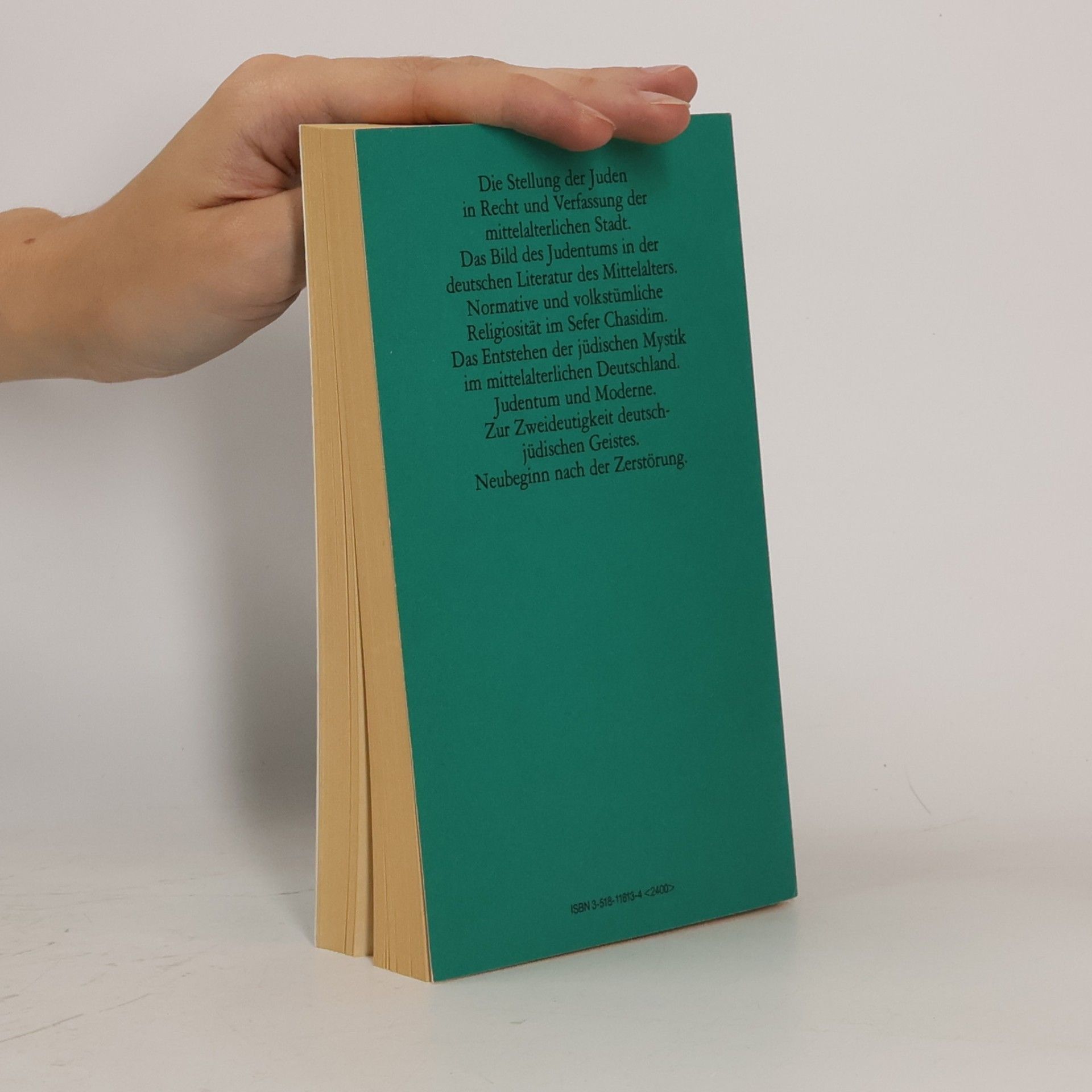 Karl Erich Grözinger Judentum im deutschen Sprachraum