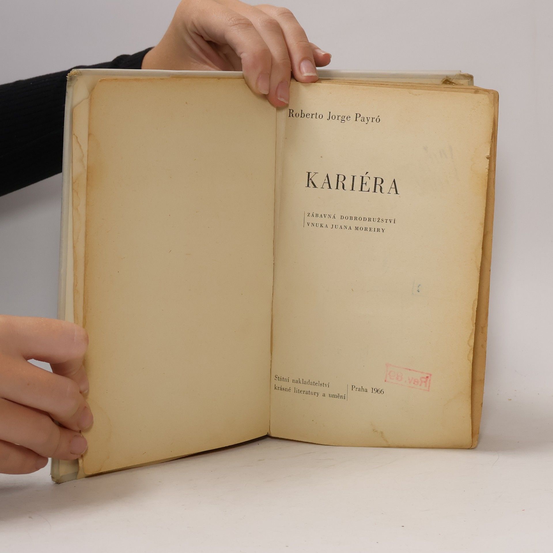 Roberto Jorge Payró Kariéra