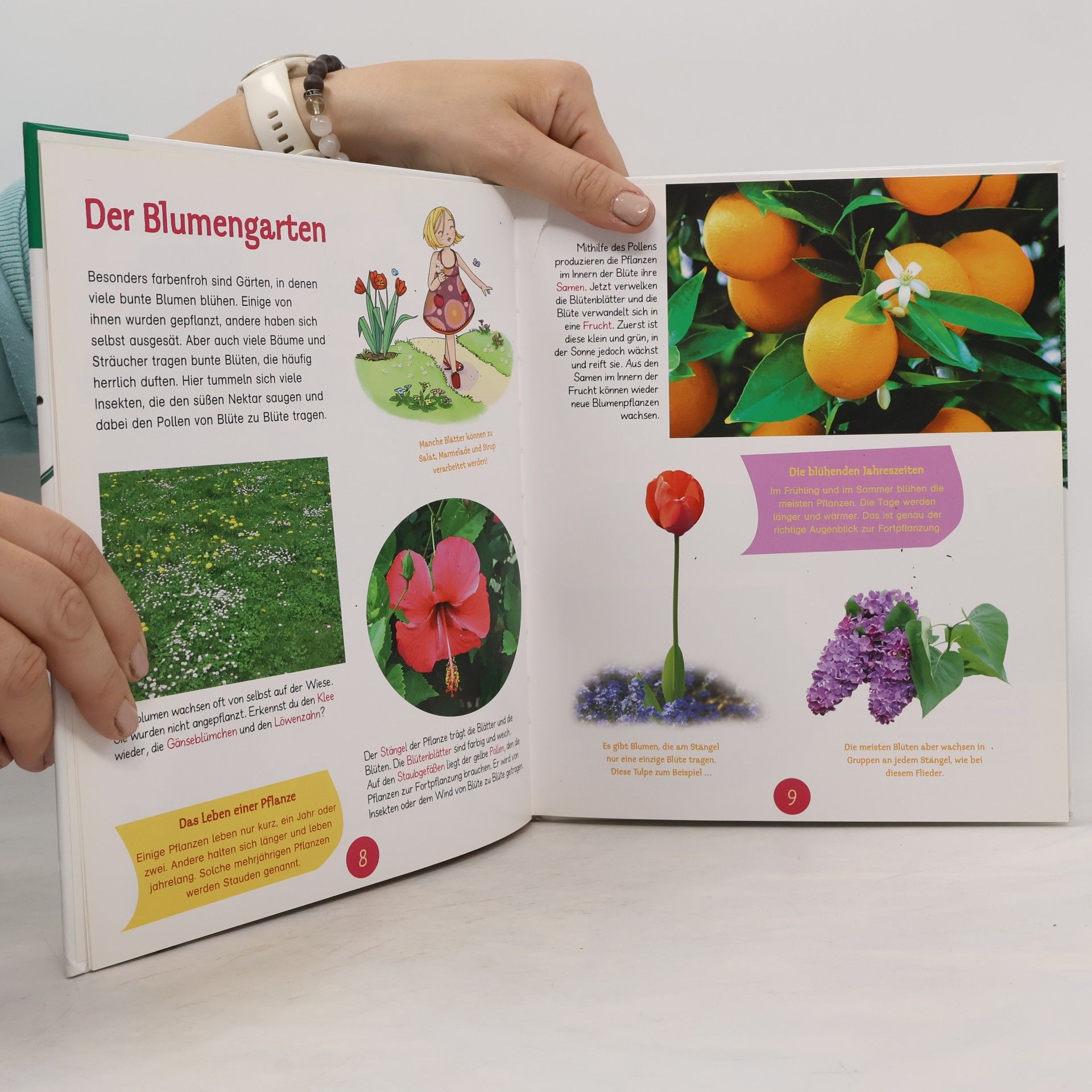 Pascale Hédelin Erlebe deine Welt: Komm mit in den Garten