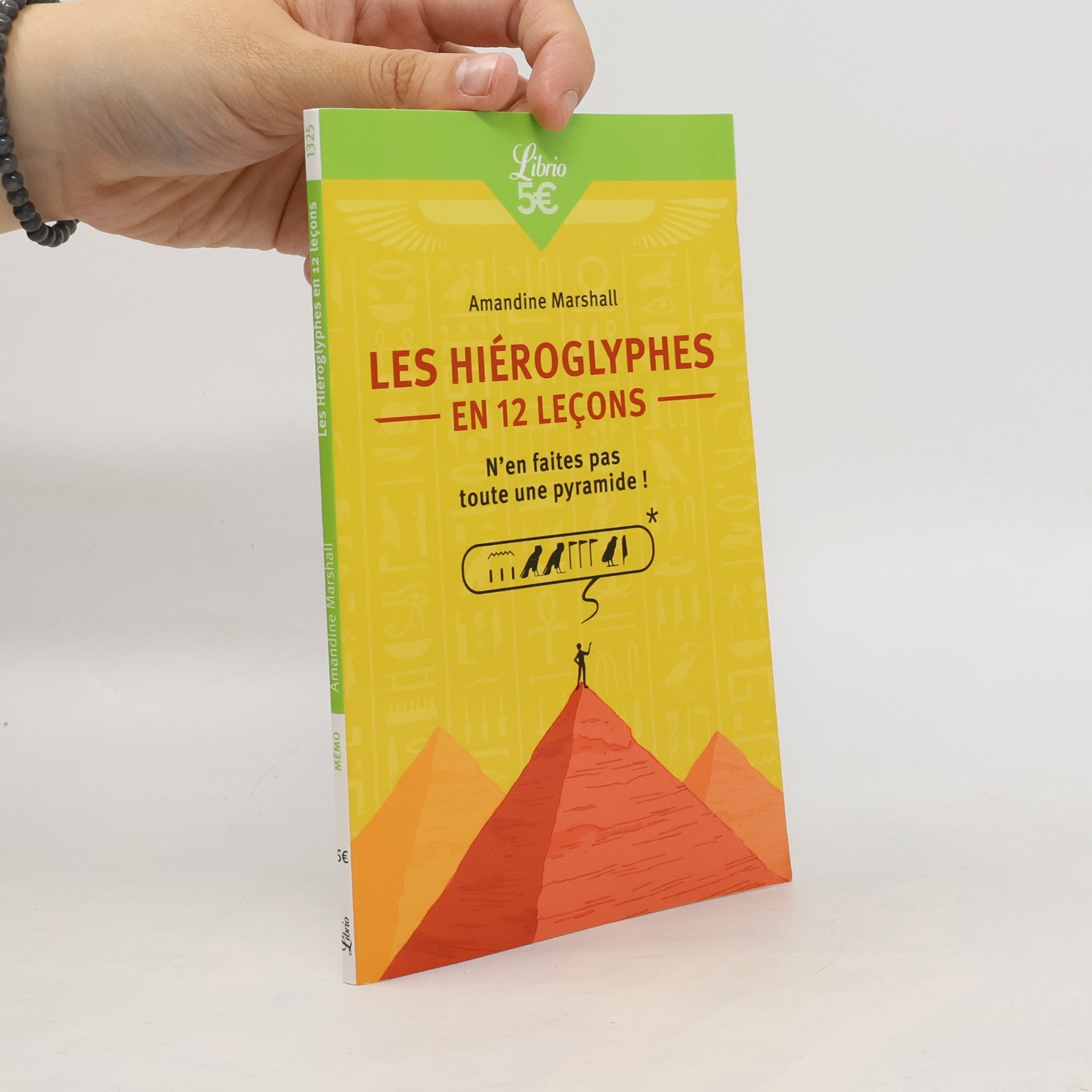 Amandine Marshall Les Hiéroglyphes en 12 leçons: N'en faites pas toute une pyramide !