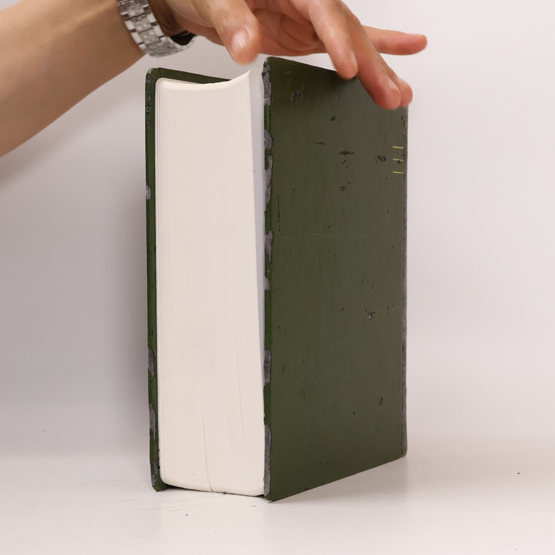 AA.VV. Jeruzalémská bible : Písmo svaté vydané Jeruzalémskou biblickou školou
