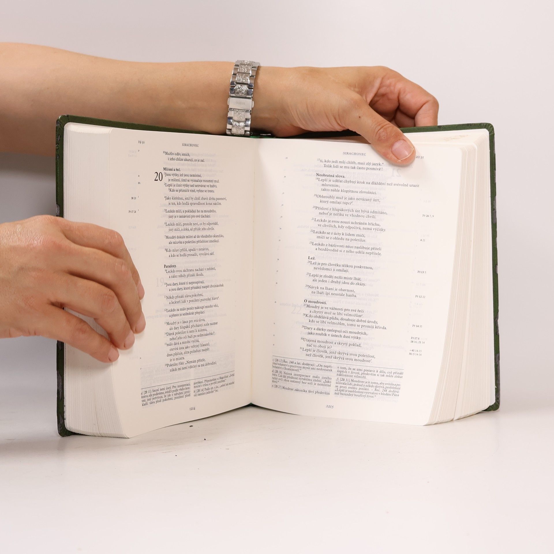 AA.VV. Jeruzalémská bible : Písmo svaté vydané Jeruzalémskou biblickou školou