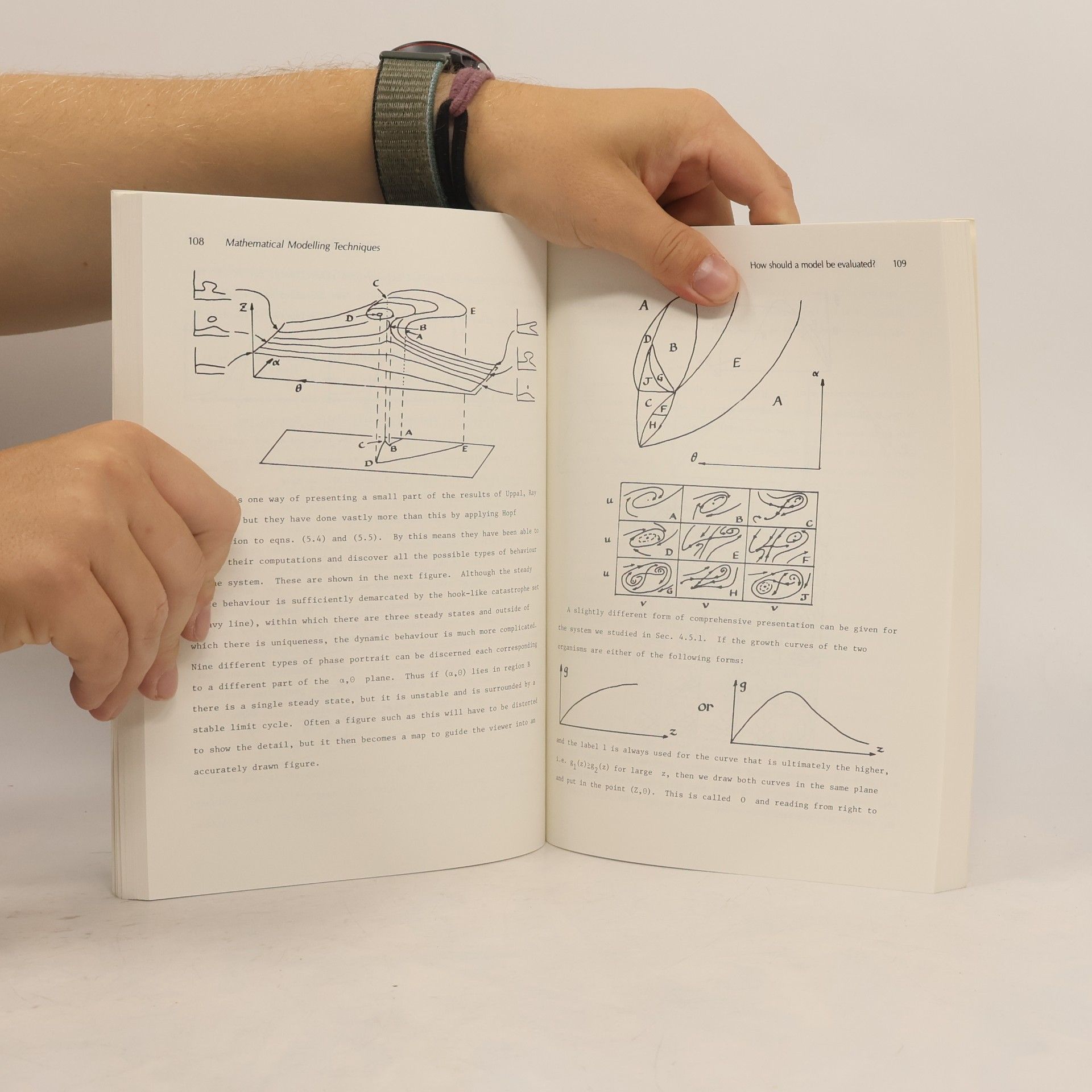 Rutherford Aris Mathematical Modelling Techniques