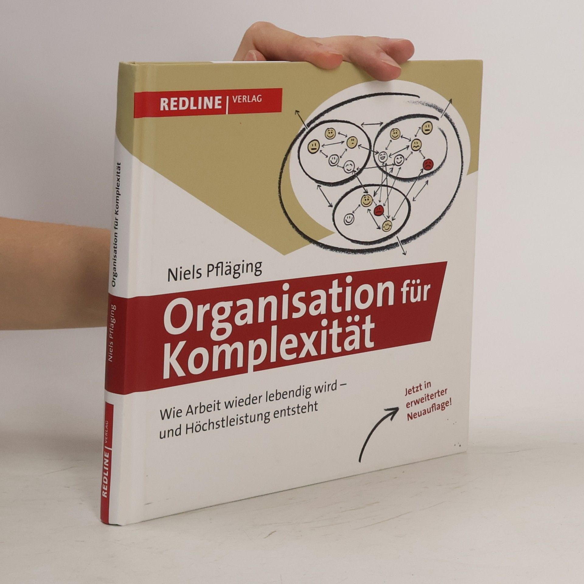 Niels Pfläging Organisation für Komplexität