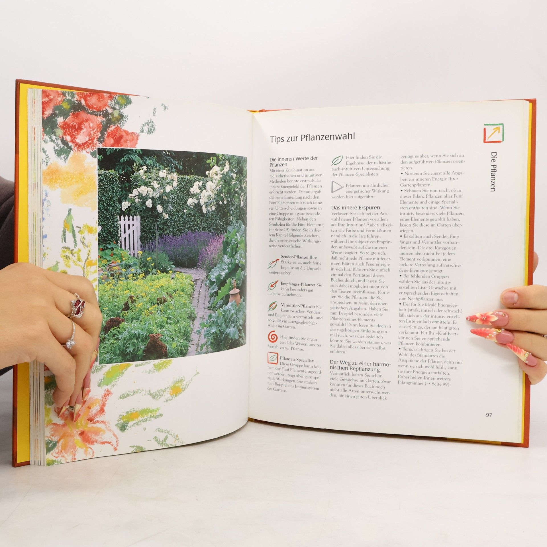 Günther Sator Feng-Shui - Garten für die Sinne