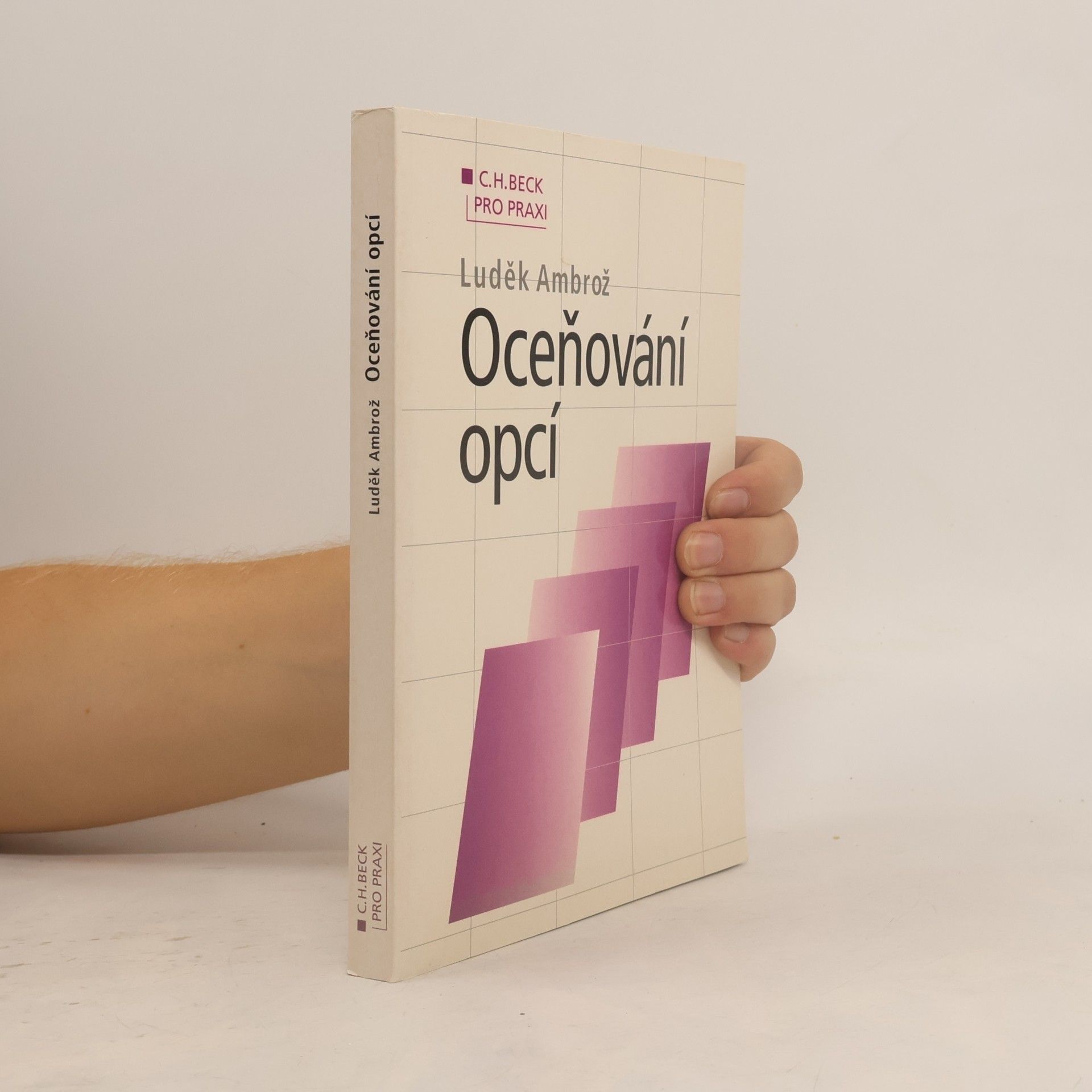 Luděk Ambrož Oceňování opcí