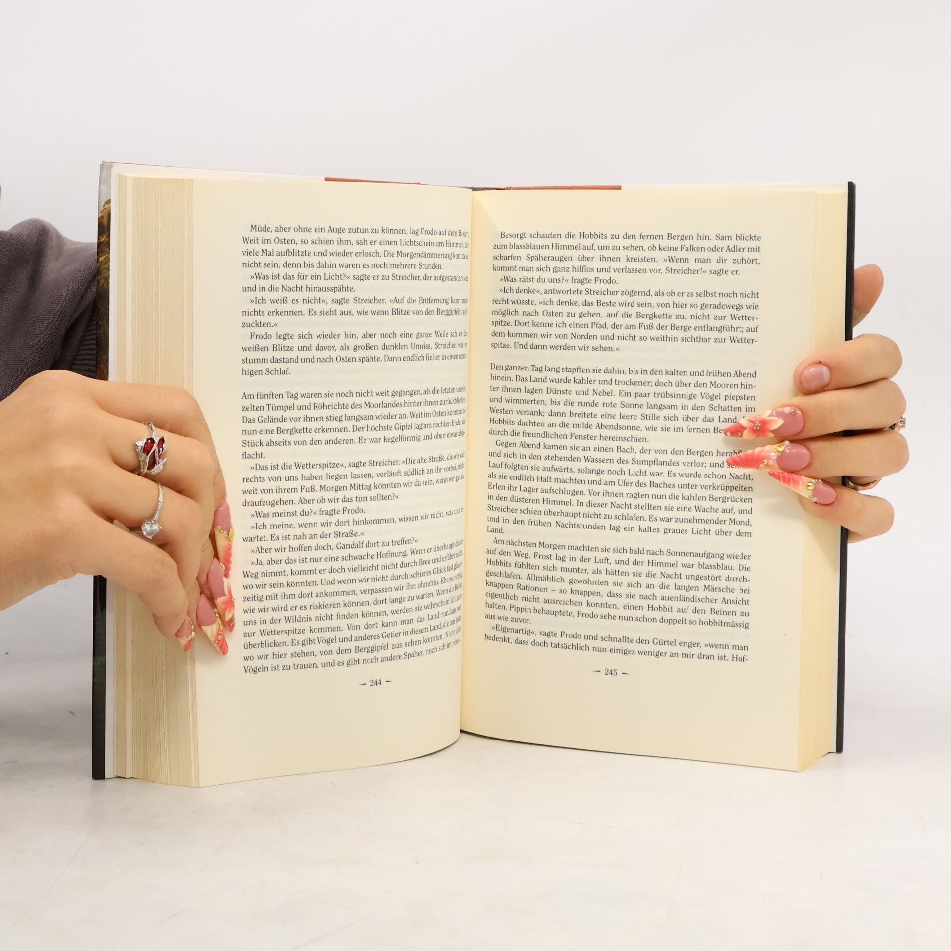 J. R. R. Tolkien Der Herr der Ringe 1. Die Gefährten