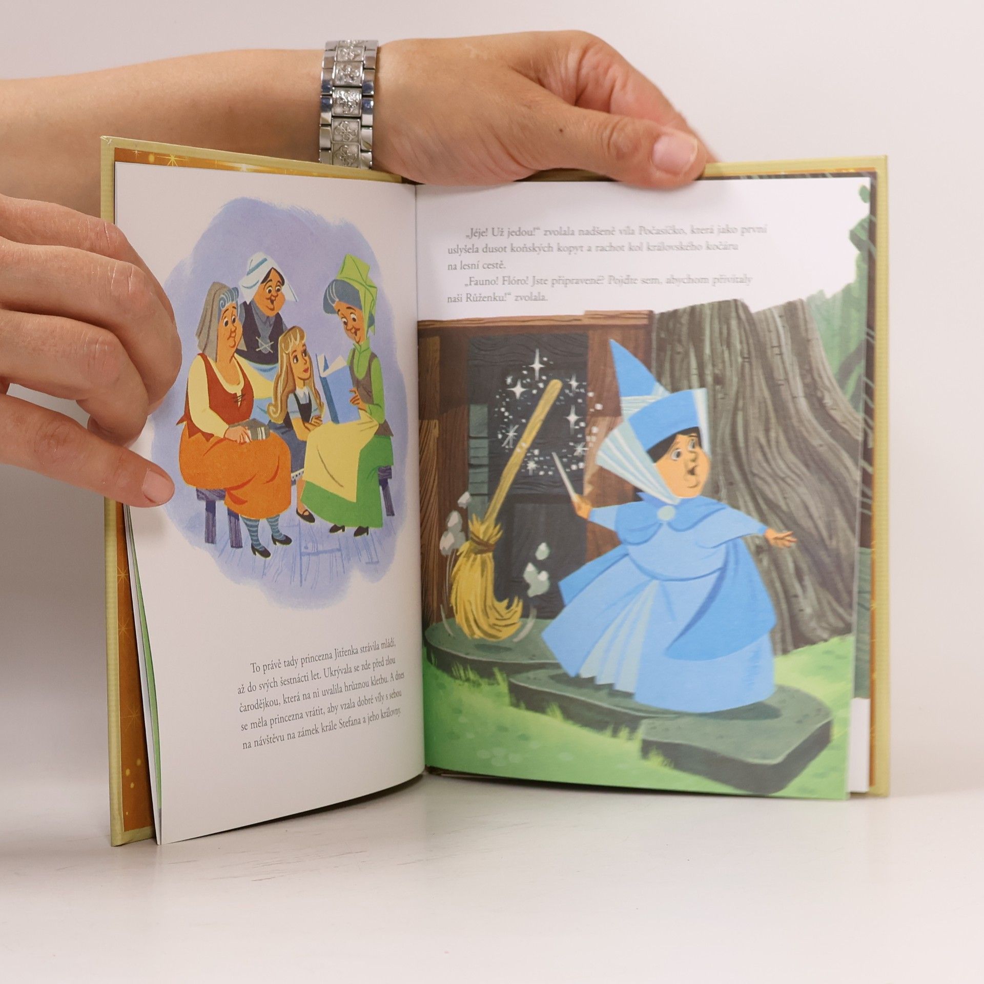 Walt Disney Zlatá sbírka pohádek 30. Šípková Růženka