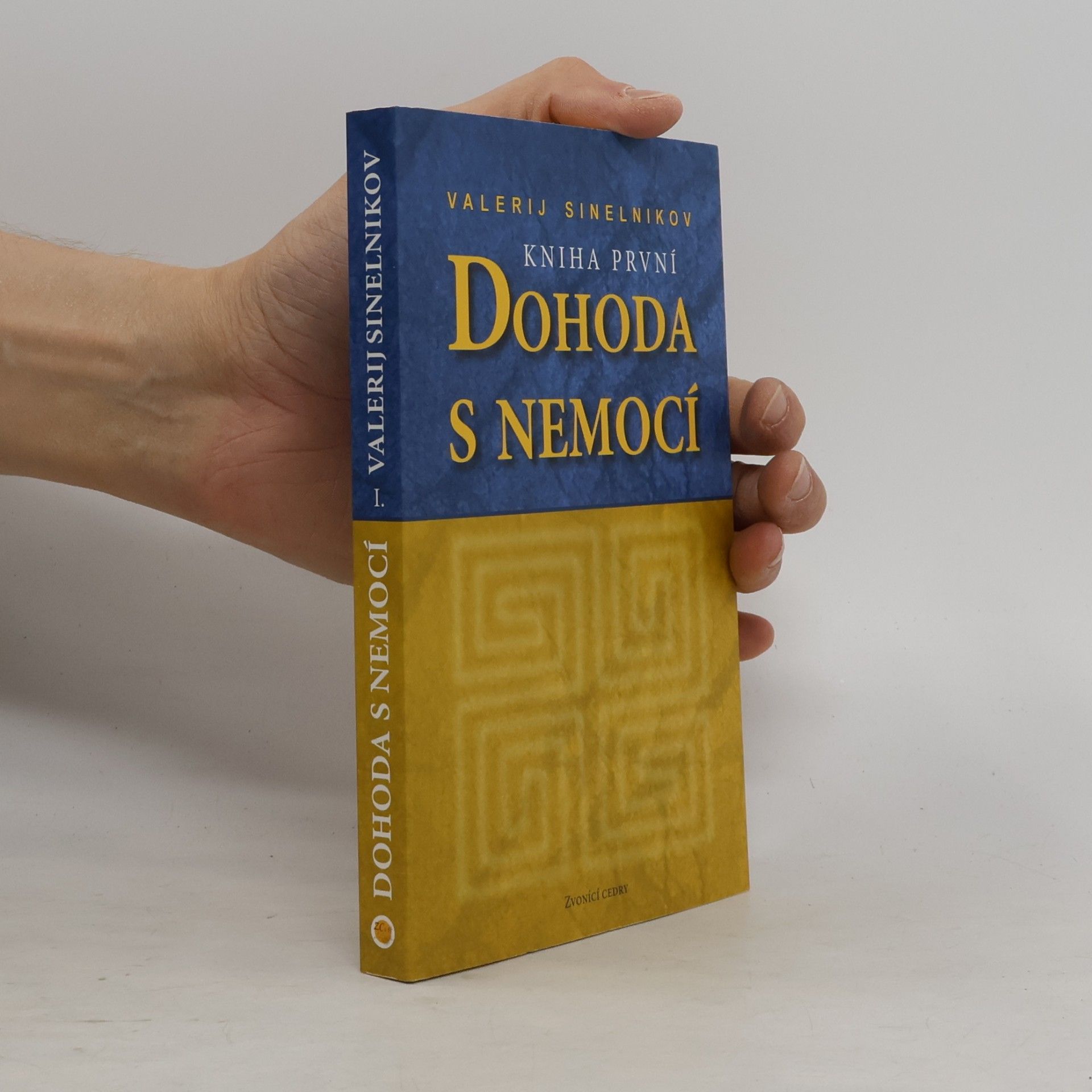 Valerij Vladimirovič Sinel‘nikov Dohoda s nemocí. Kniha první