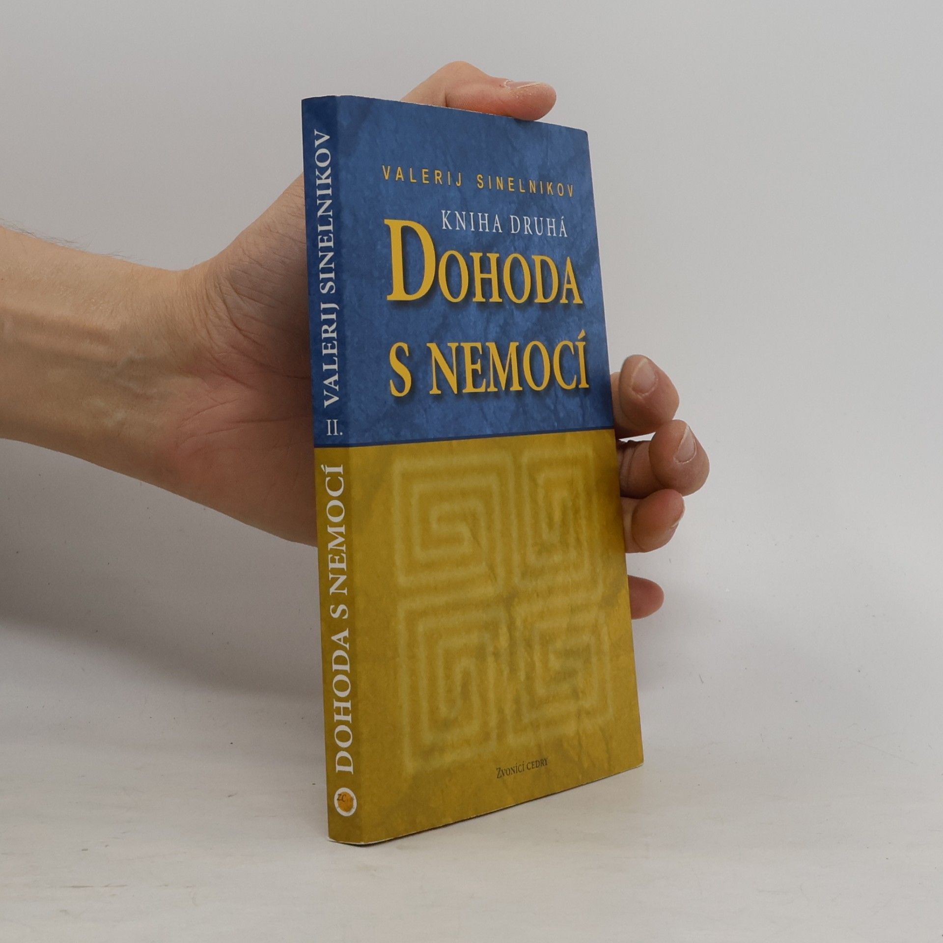Valerij Vladimirovič Sinel‘nikov Dohoda s nemocí. Kniha druhá