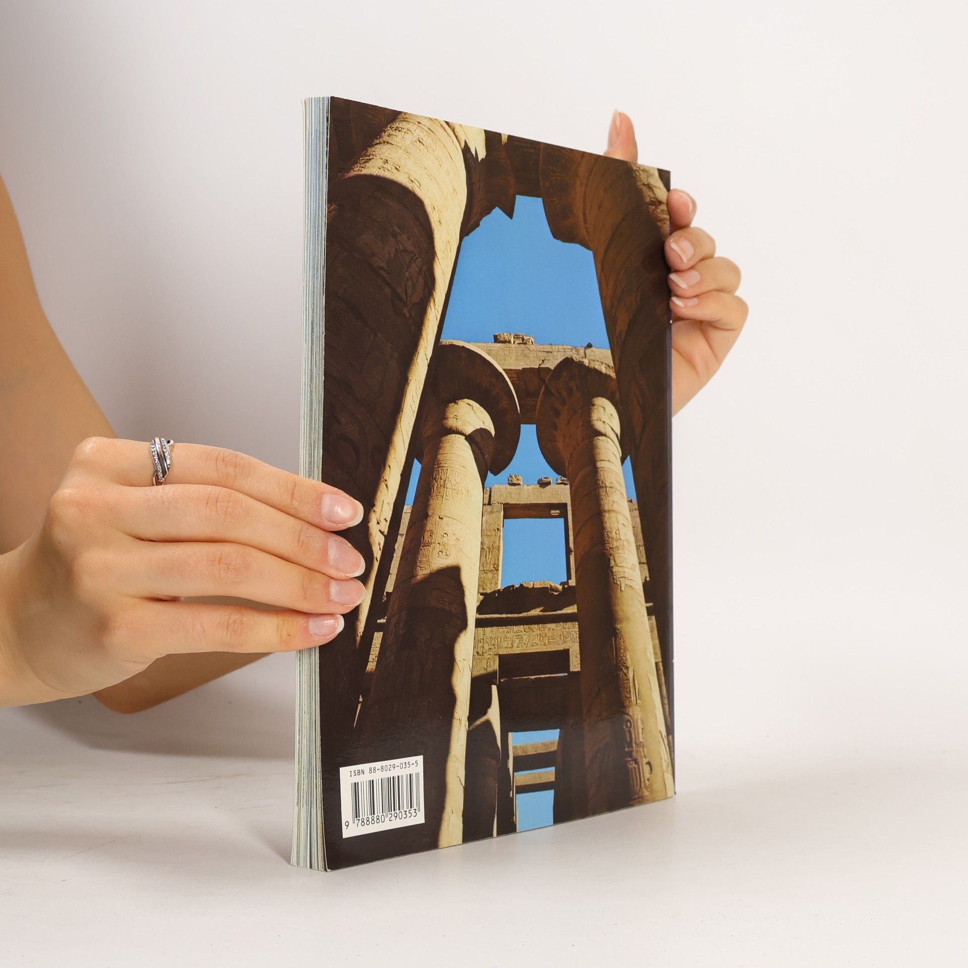 Abbas Chalaby All of Egypt : from Cairo to Abu Simbel and Sinai