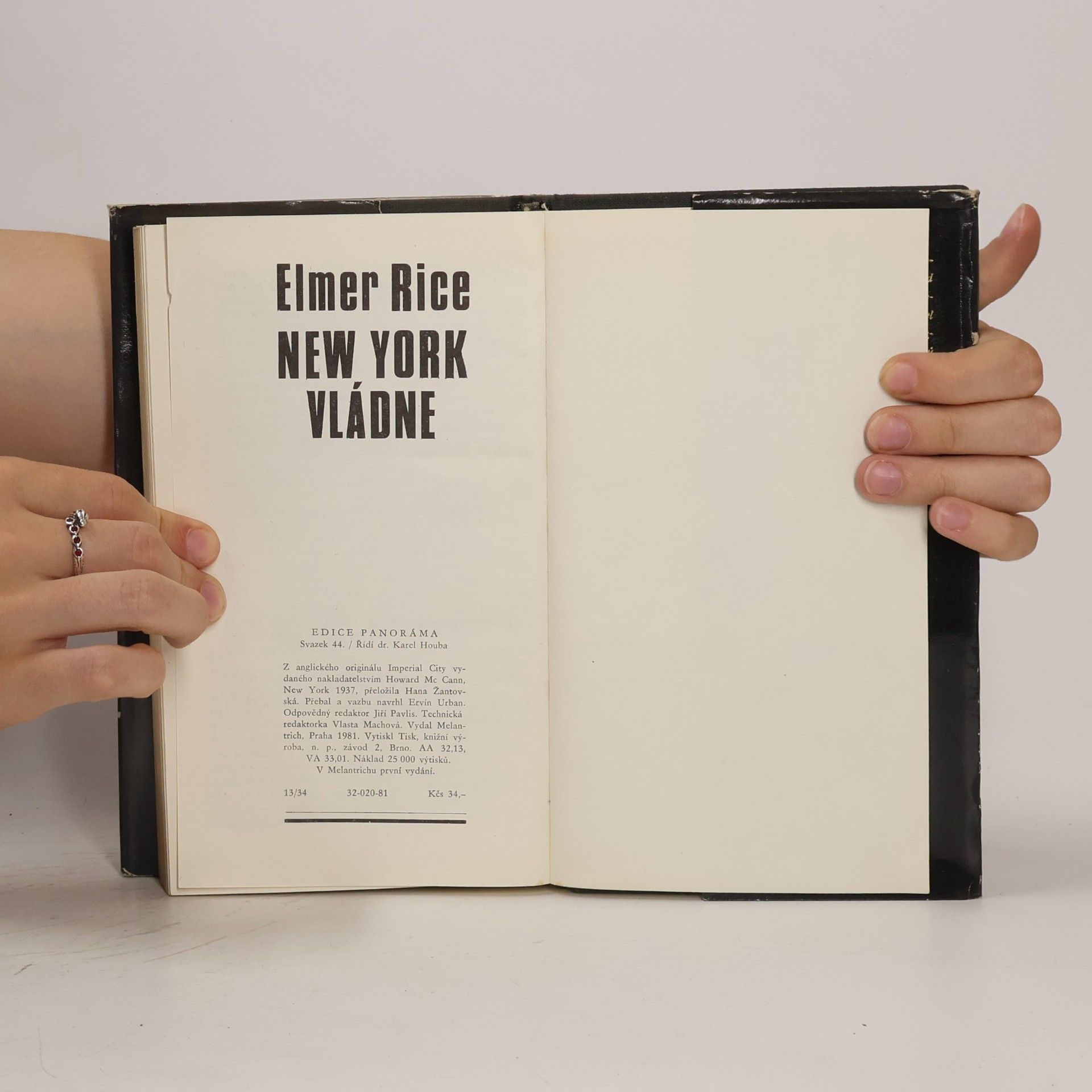 Elmer Rice New York vládne