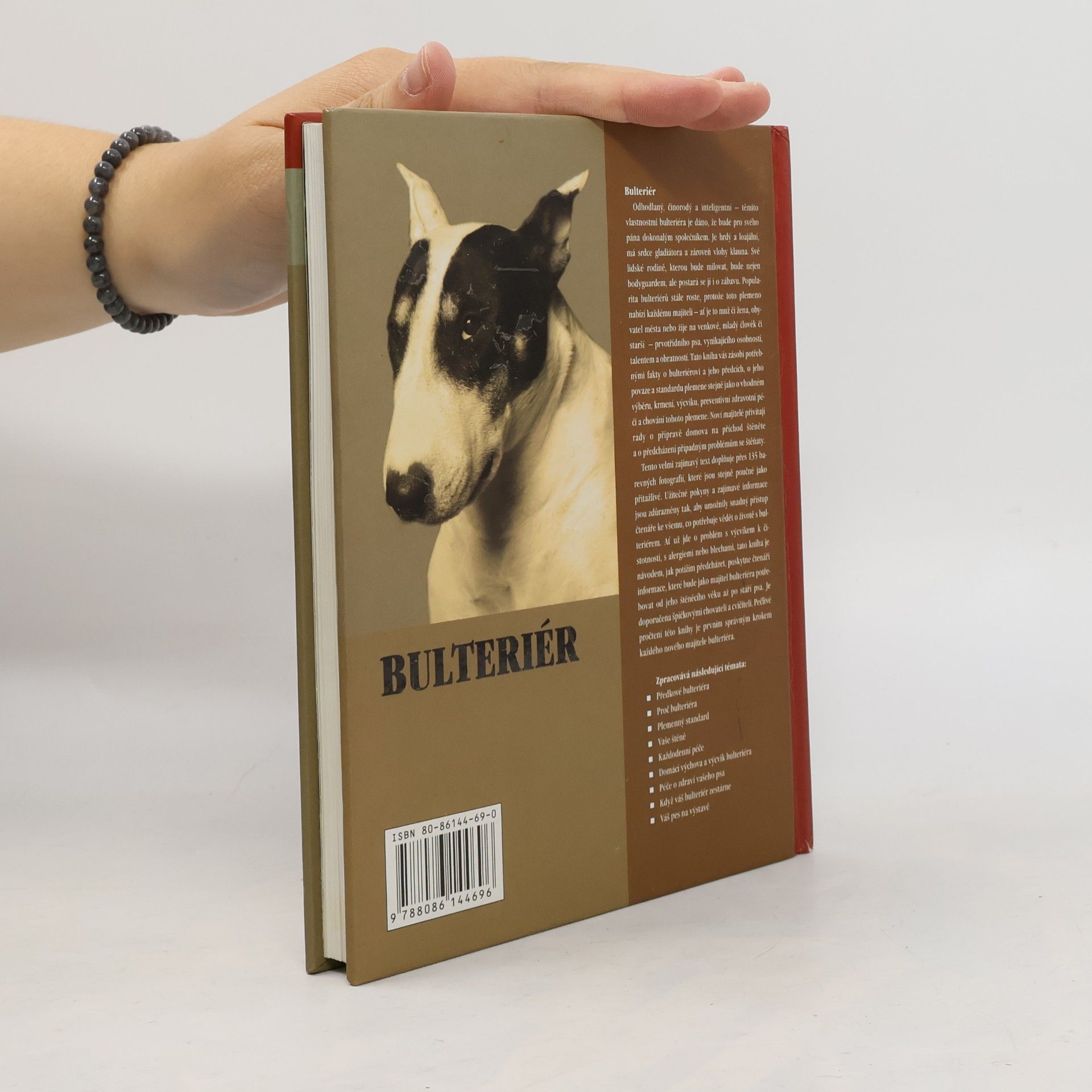 Bethany Gibson Bulteriér