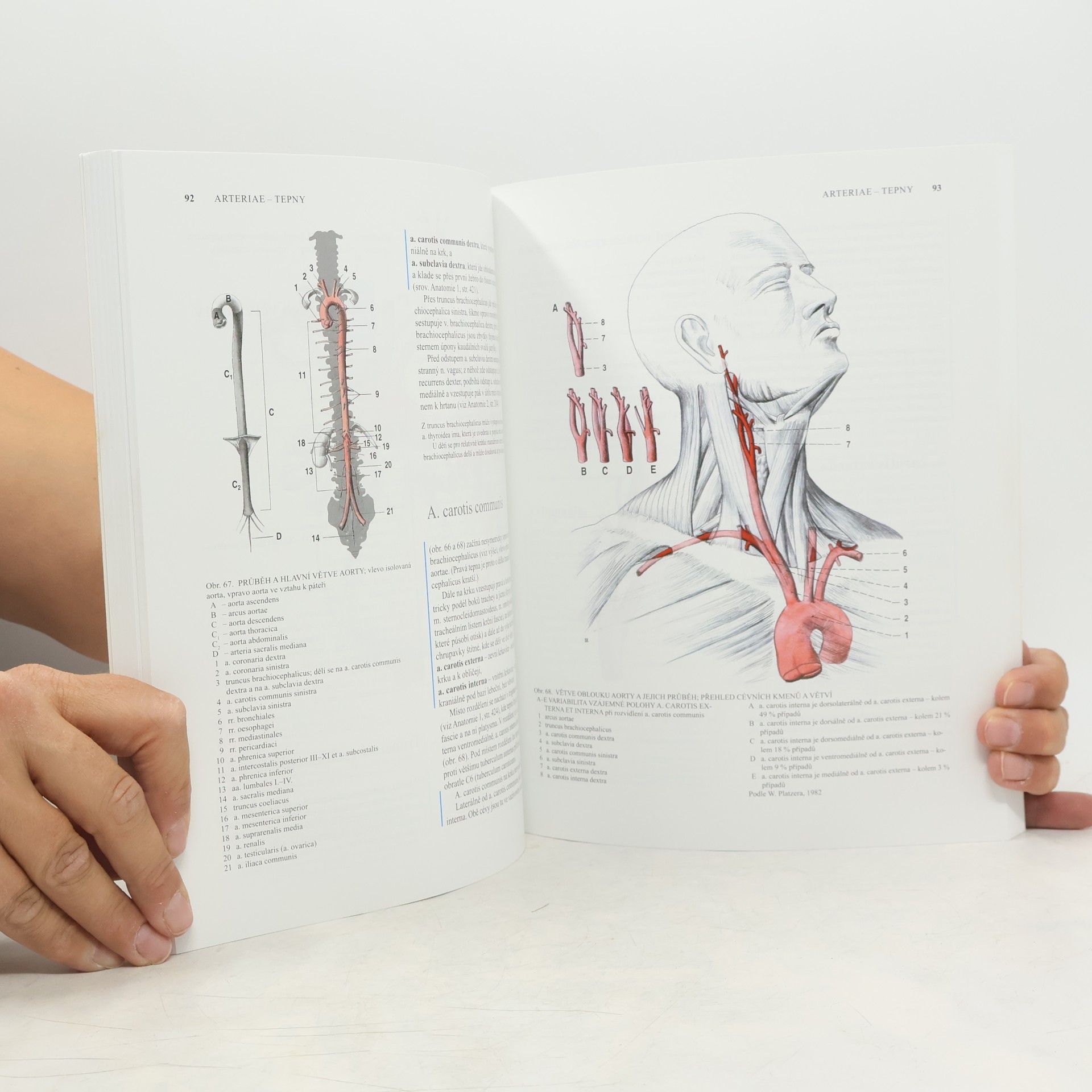 Radomír Čihák Anatomie 3. Svazek I