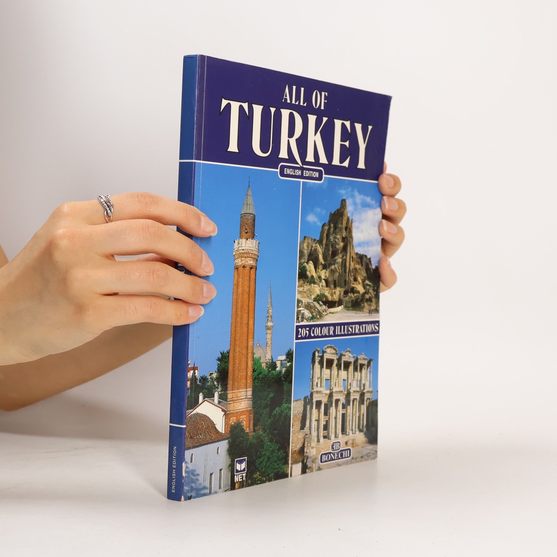 Kolektiv autorů All of Turkey