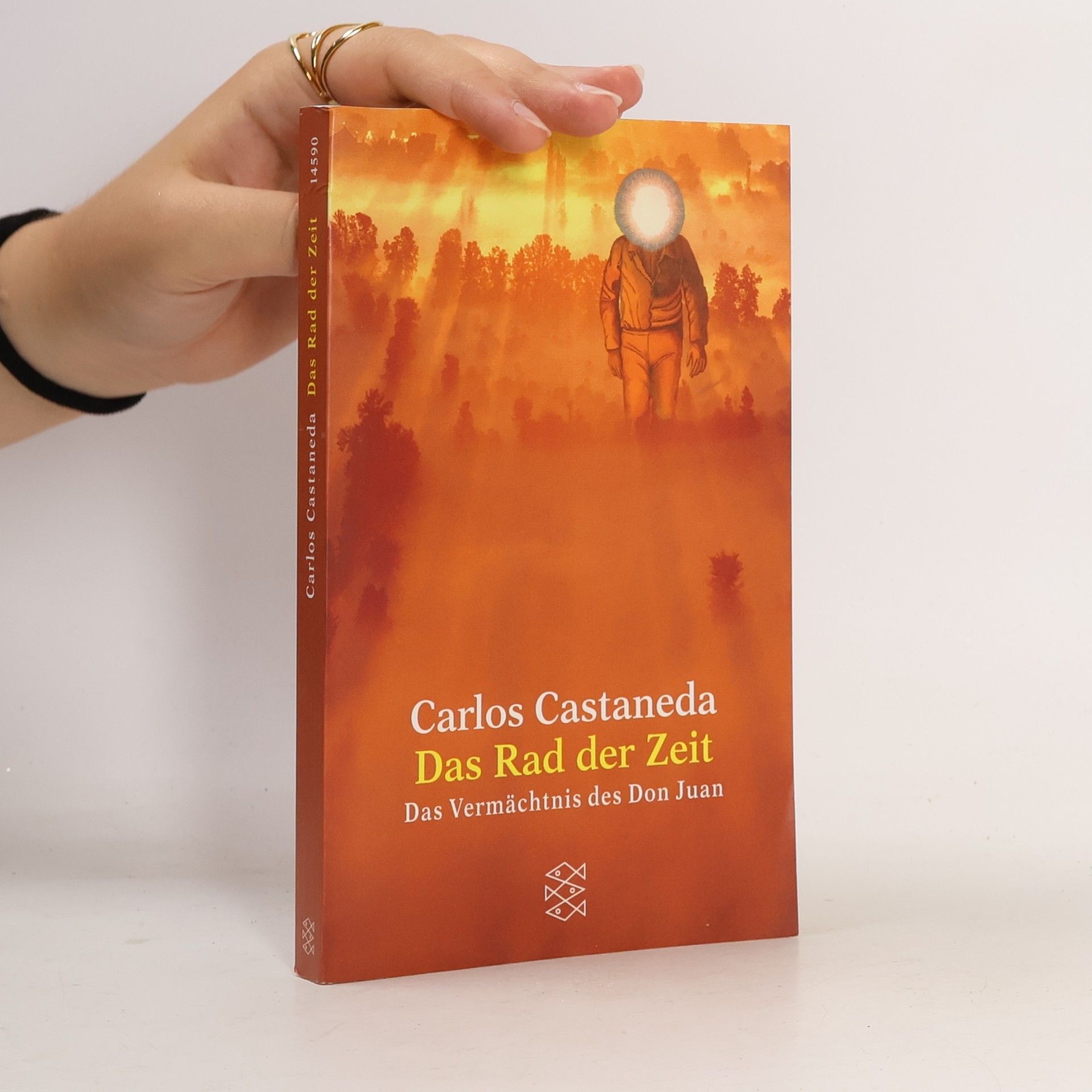 Carlos Castaneda Das Rad der Zeit